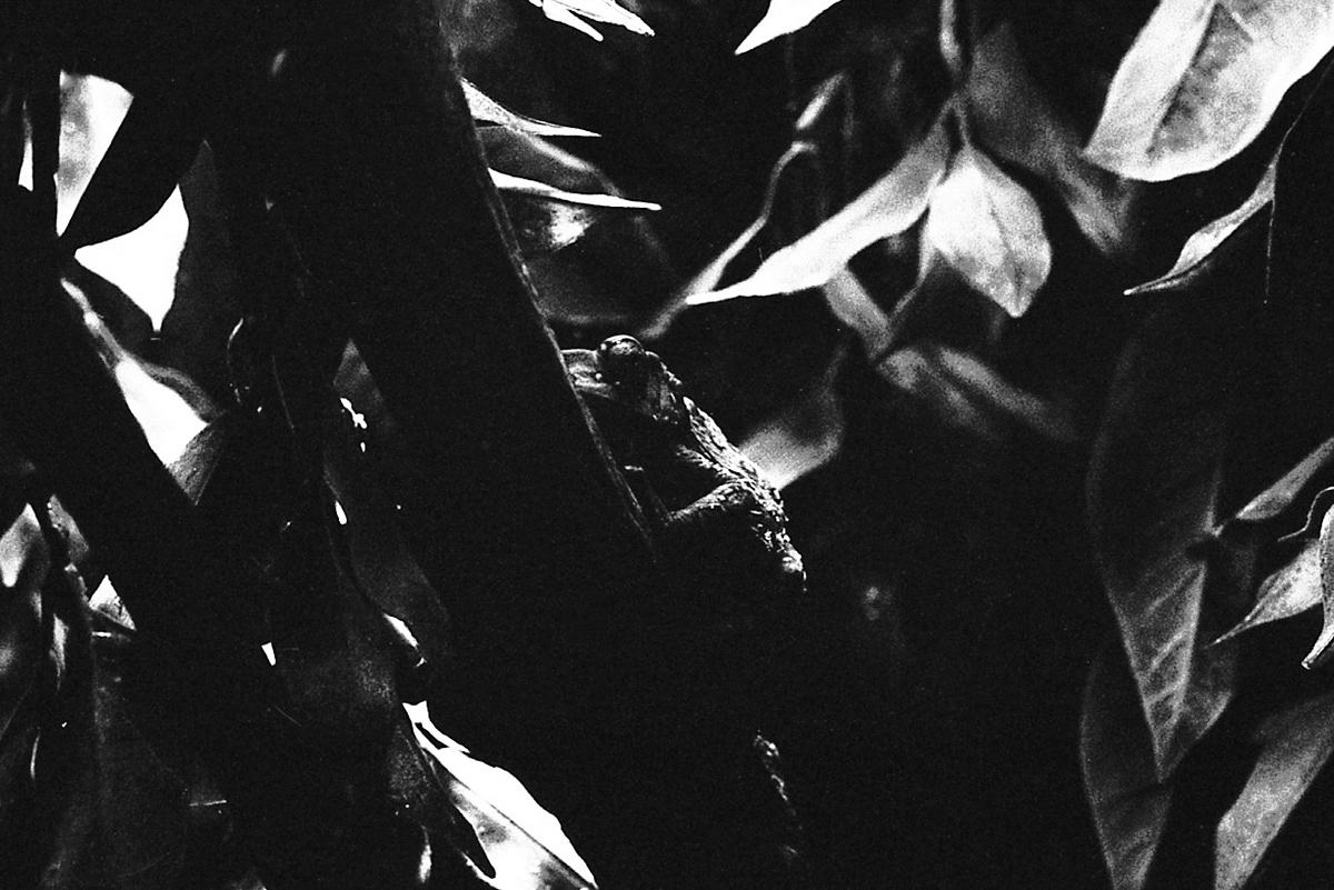 Newport Aquarium, KY, Nov. 2024