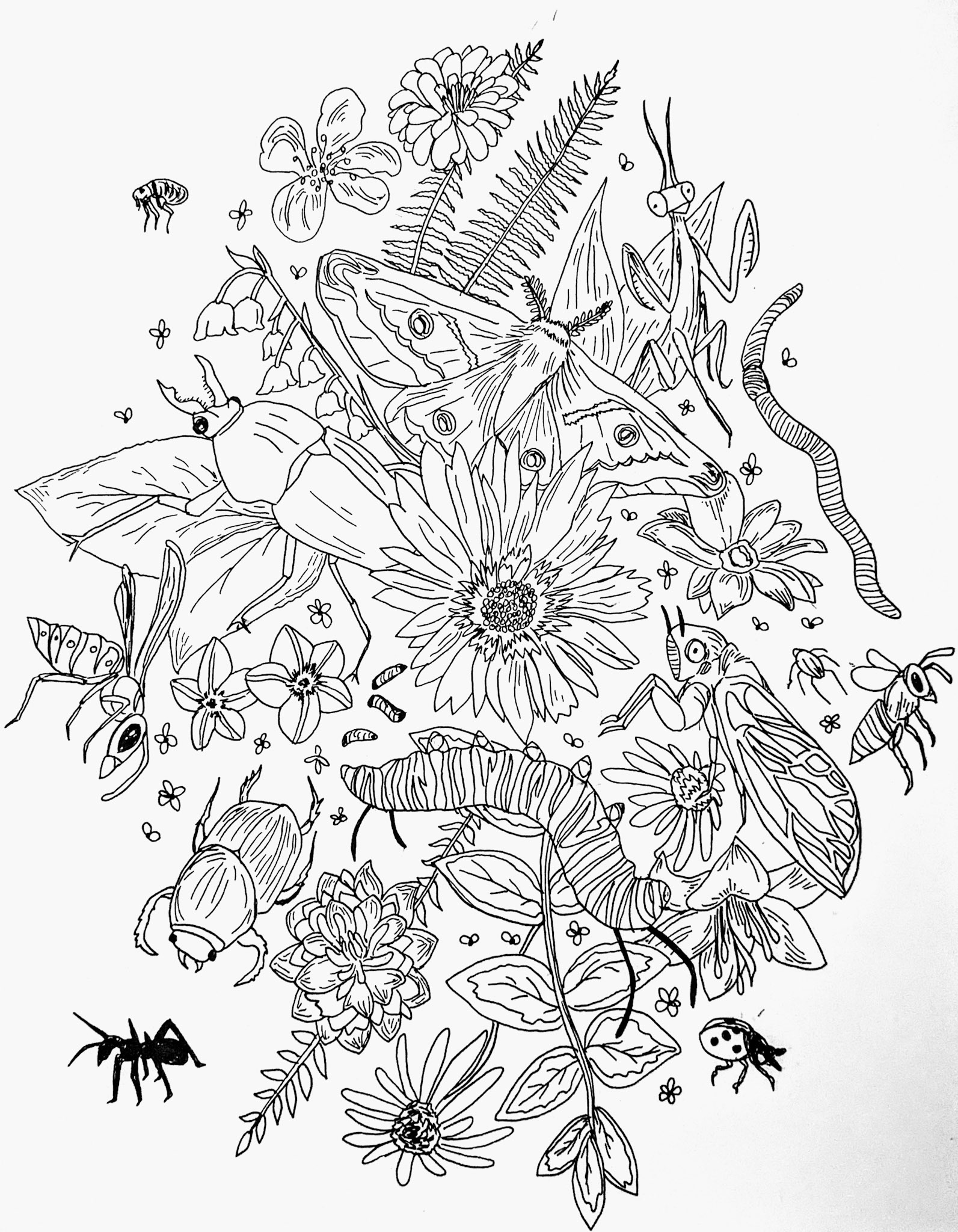"Ornate Bugs", ink on paper, Mar. 2023