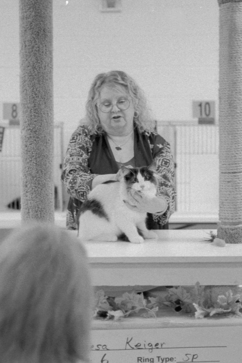 ACFA Cat Show, KY, Oct. 2025