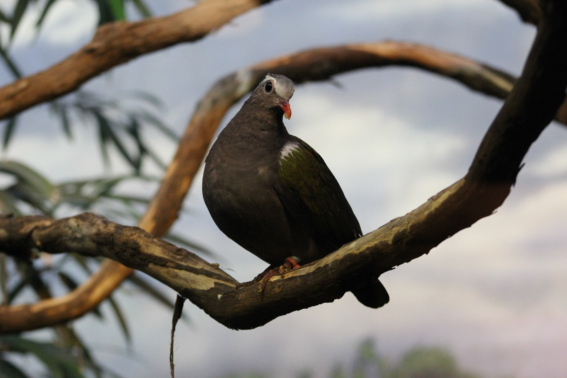 Louisville Zoo, KY, Aug. 2023