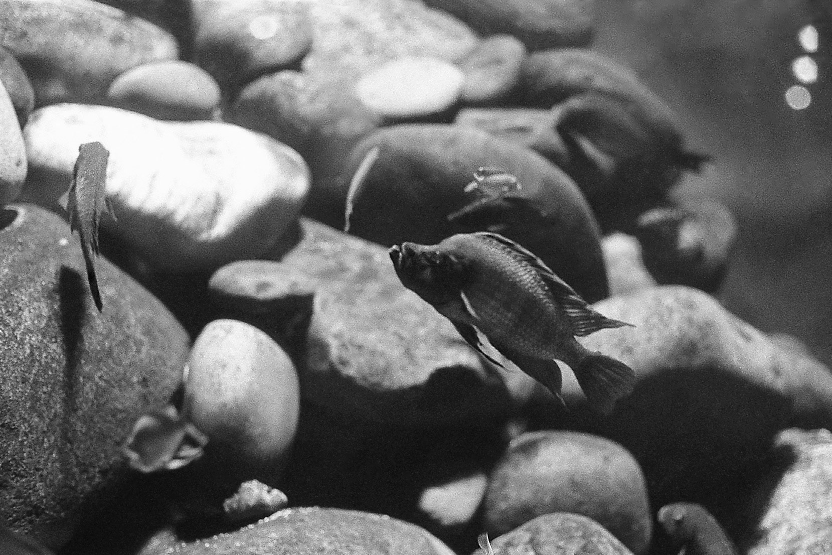 Newport Aquarium, KY, Nov. 2024