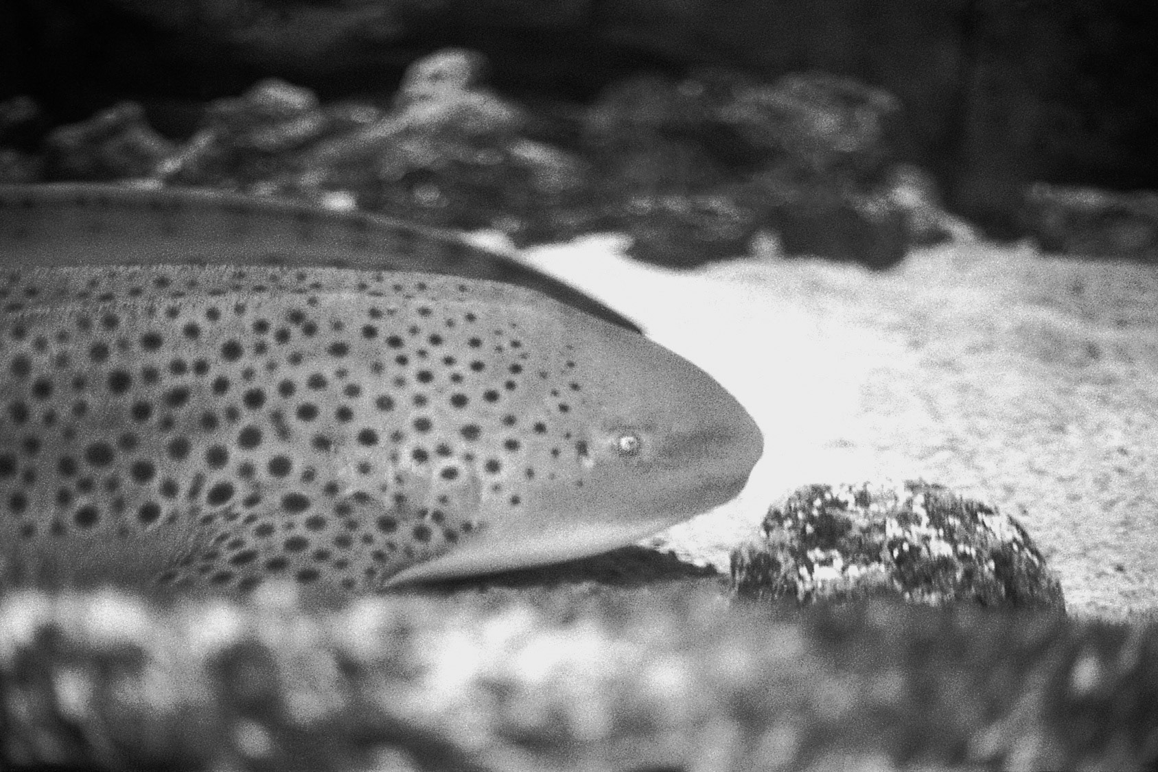 Newport Aquarium, KY, Nov. 2024