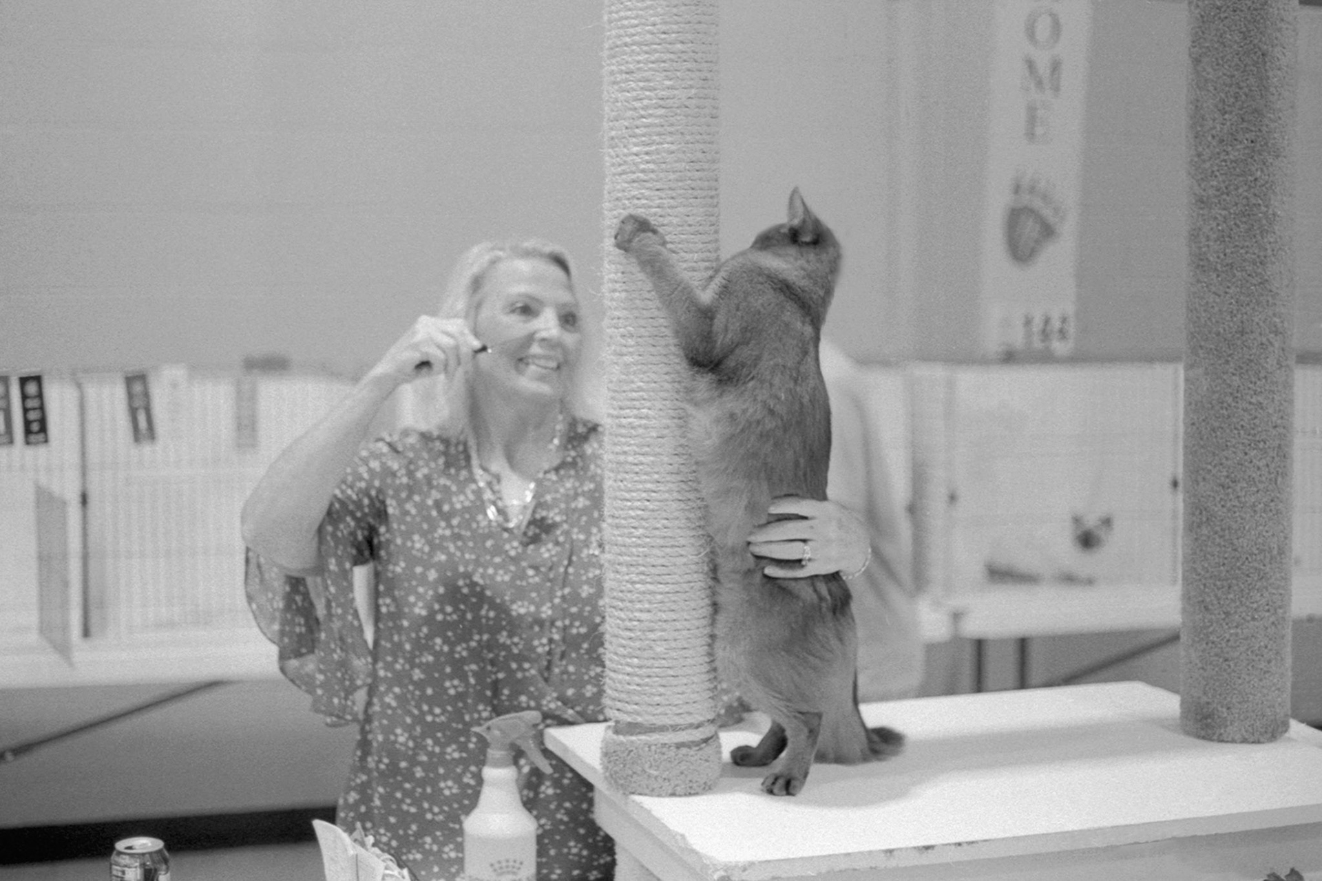 ACFA Cat Show, KY, Oct. 2025