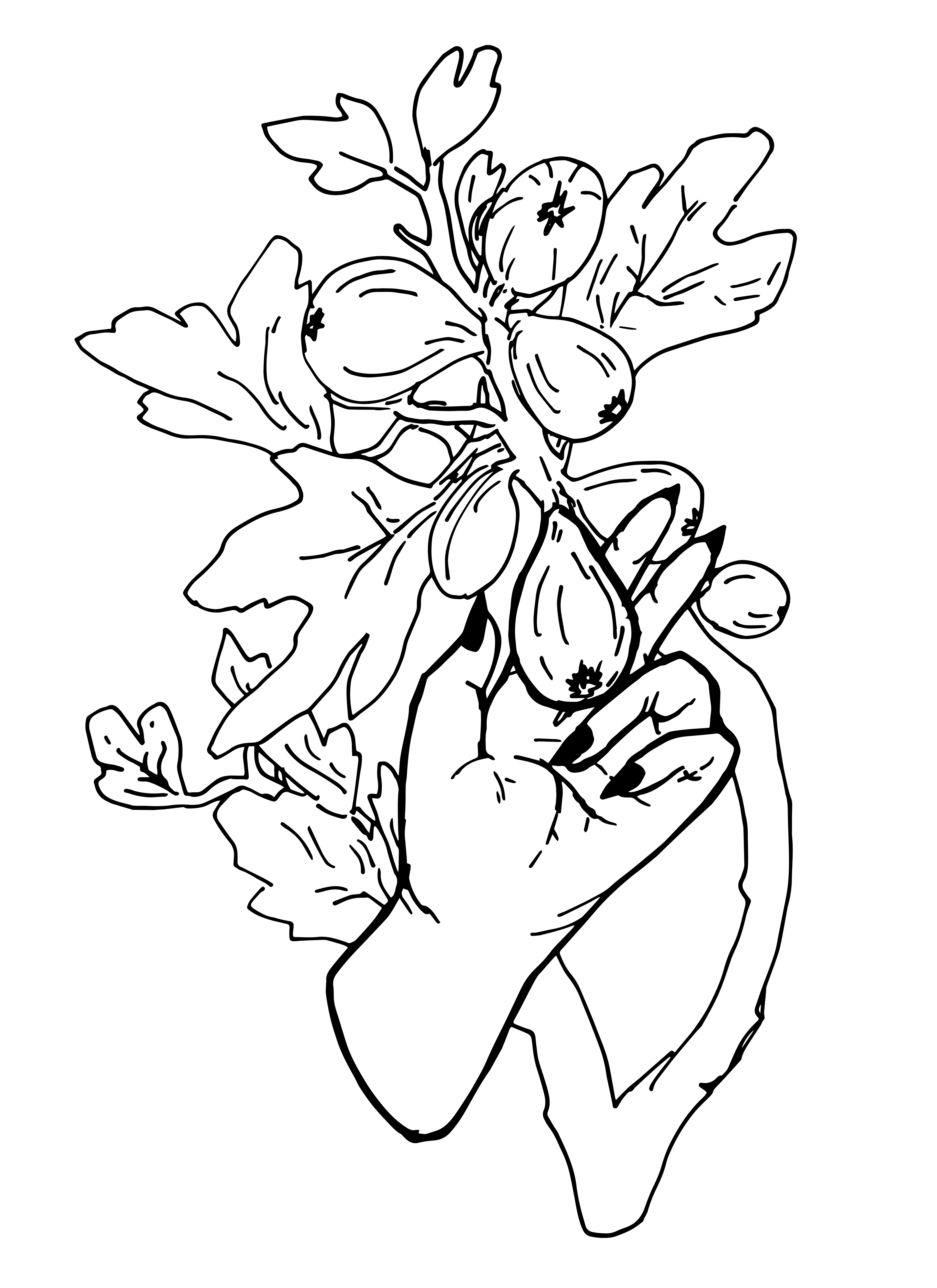 "Sylvia's Figs", commissioned tattoo design, ink on paper converted digitally, Feb. 2020