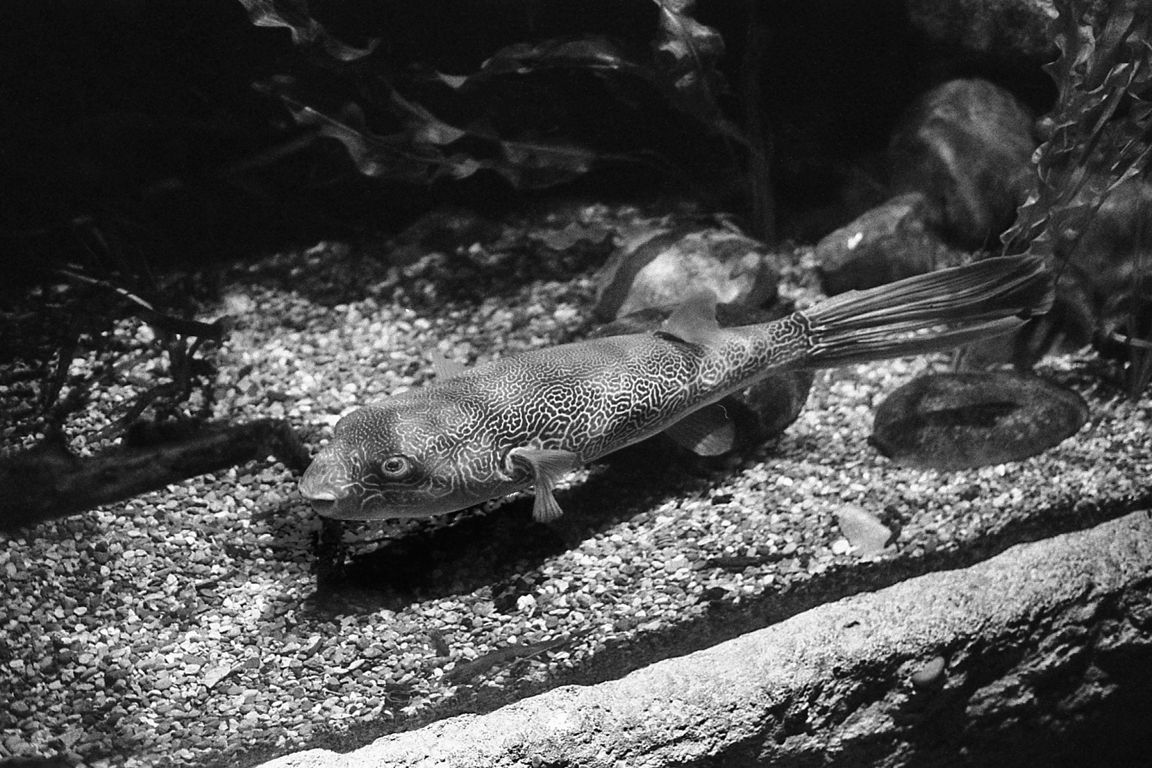 Newport Aquarium, KY, Nov. 2024