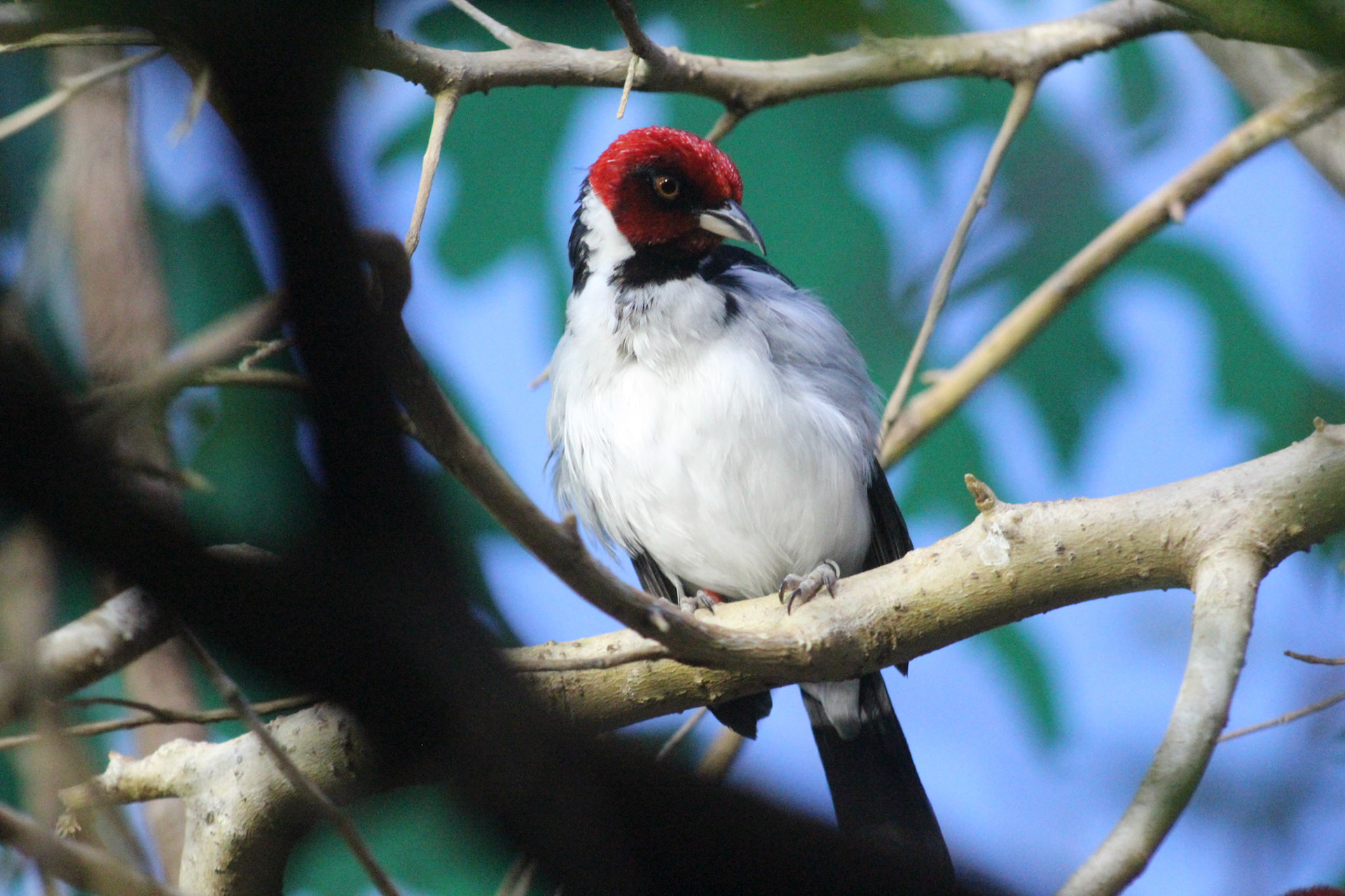 Louisville Zoo, KY, Aug. 2023