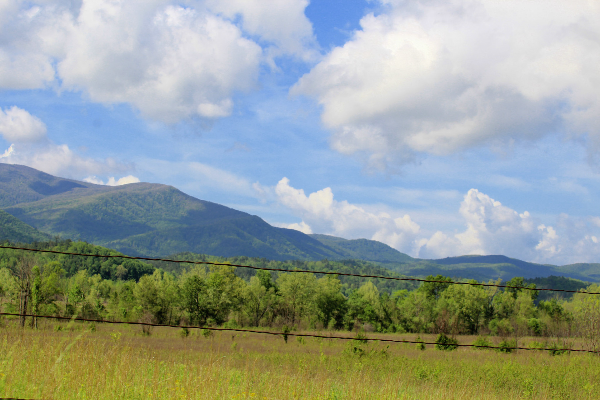 Mountain landscape, Gatlinburg, TN, May 2024