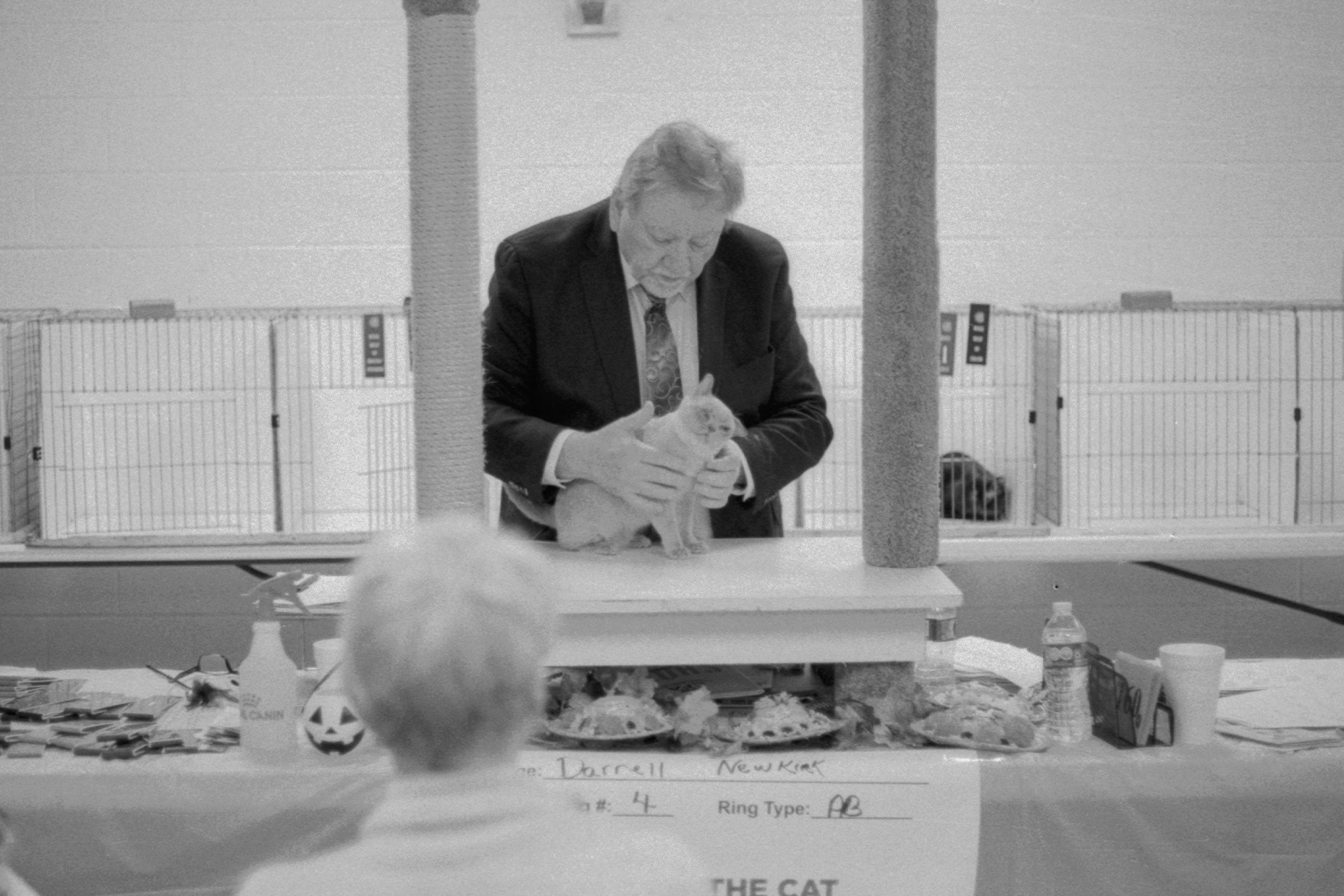 ACFA Cat Show, KY, Oct. 2025