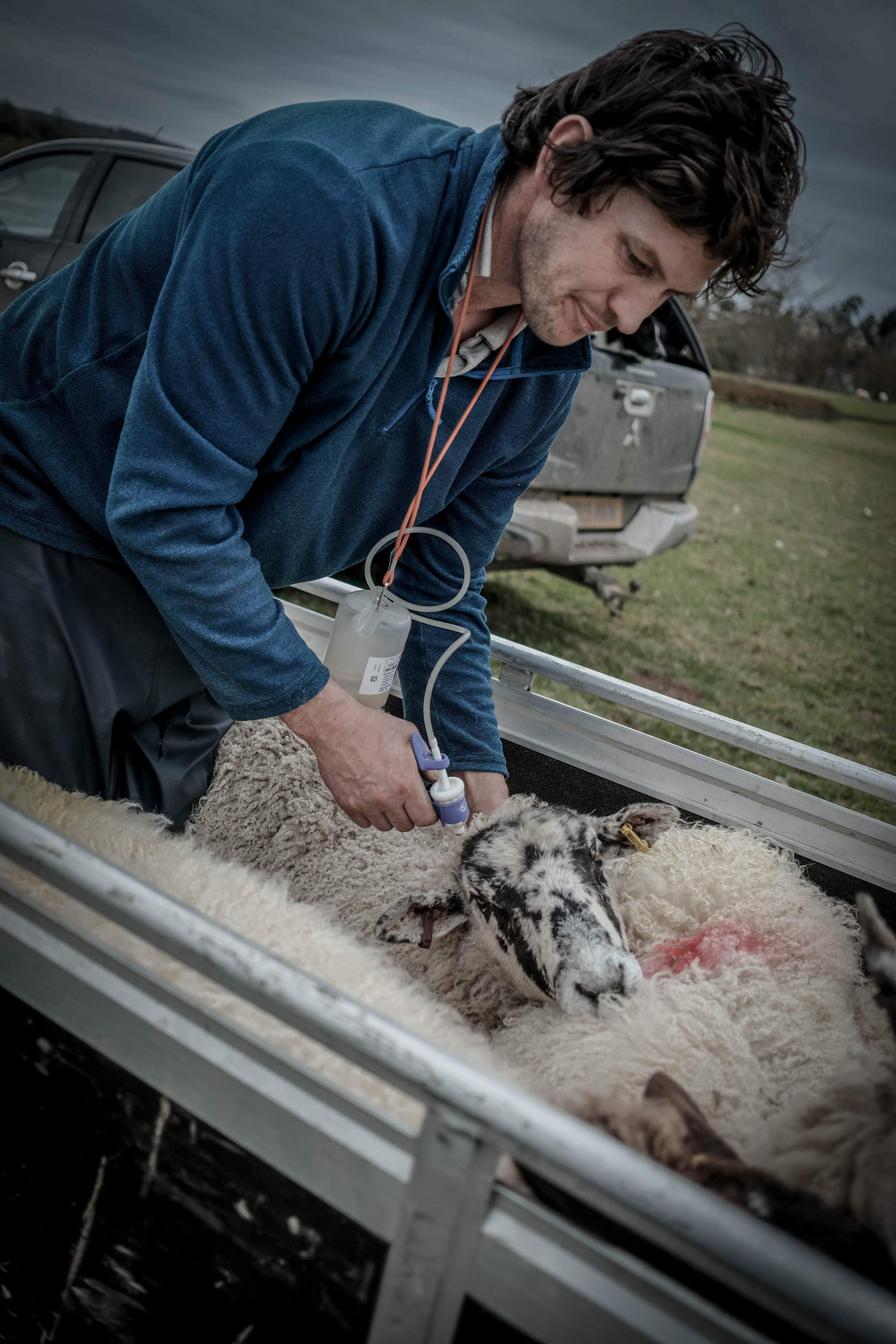 Keith The Shepherd