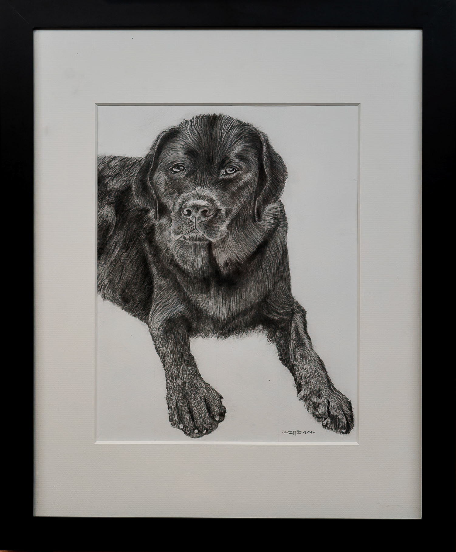 "Maggie" - Graphite on paper, 11 x 14