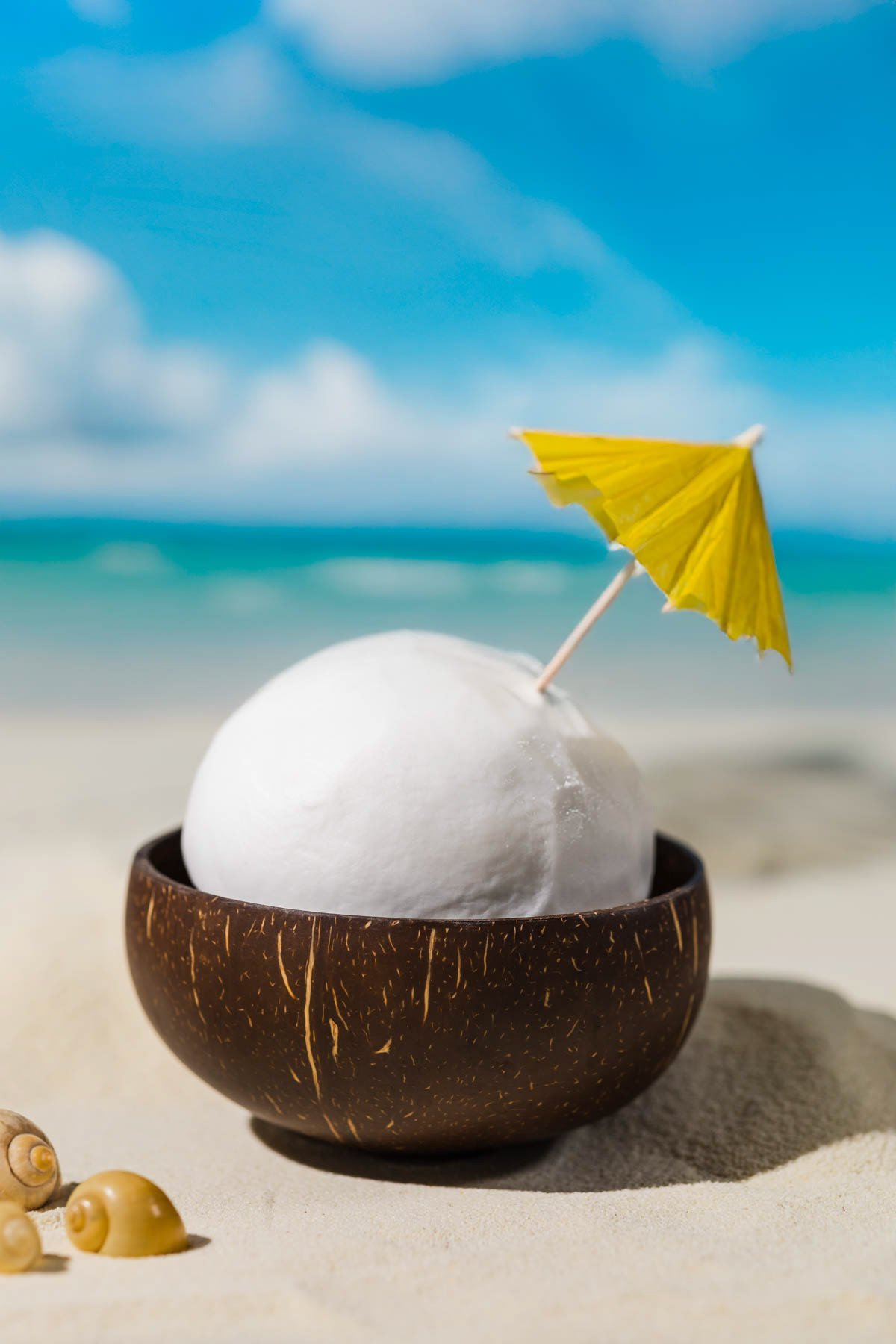 beach scene for Coconow