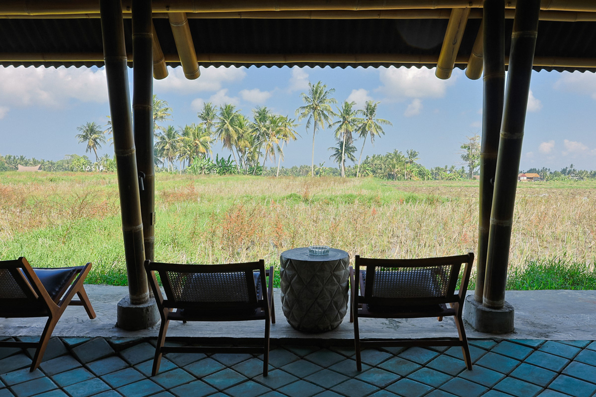 Bali food photographer capturing the beautiful rice field view in the restaurant.