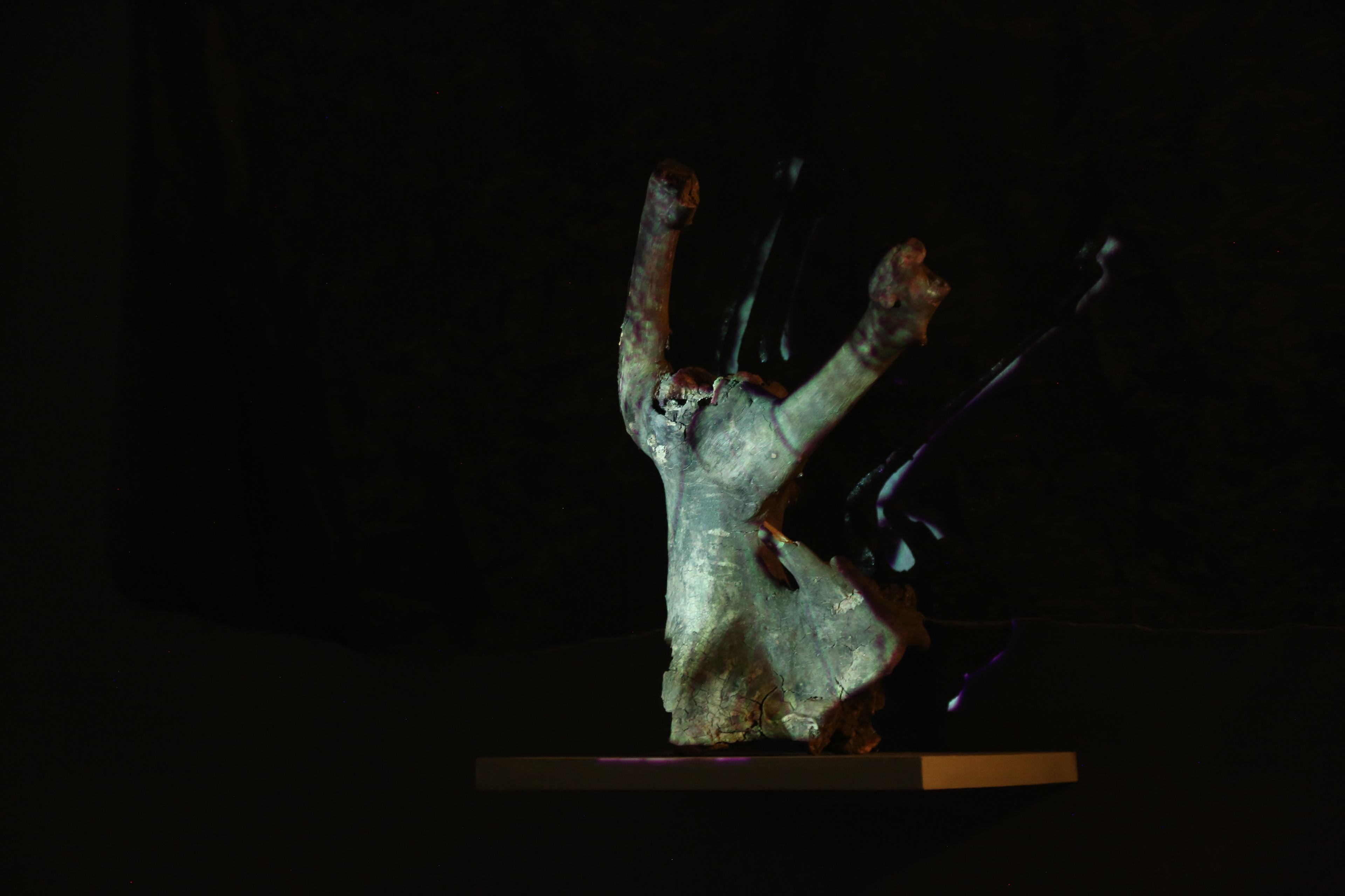 Close up of projection mapped onto the body of the Skogsrå