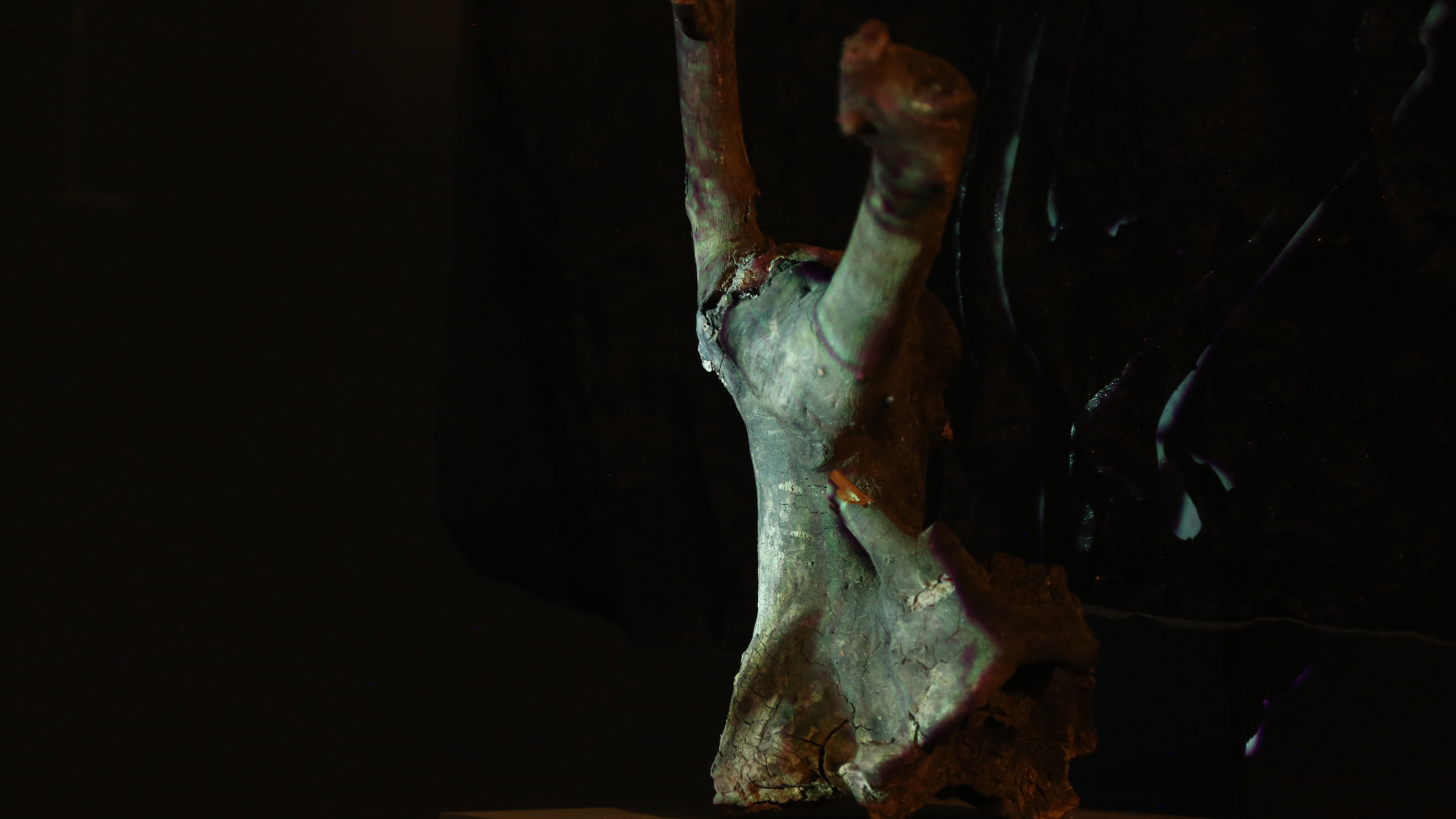 Close up of projection mapped onto the body of the Skogsrå