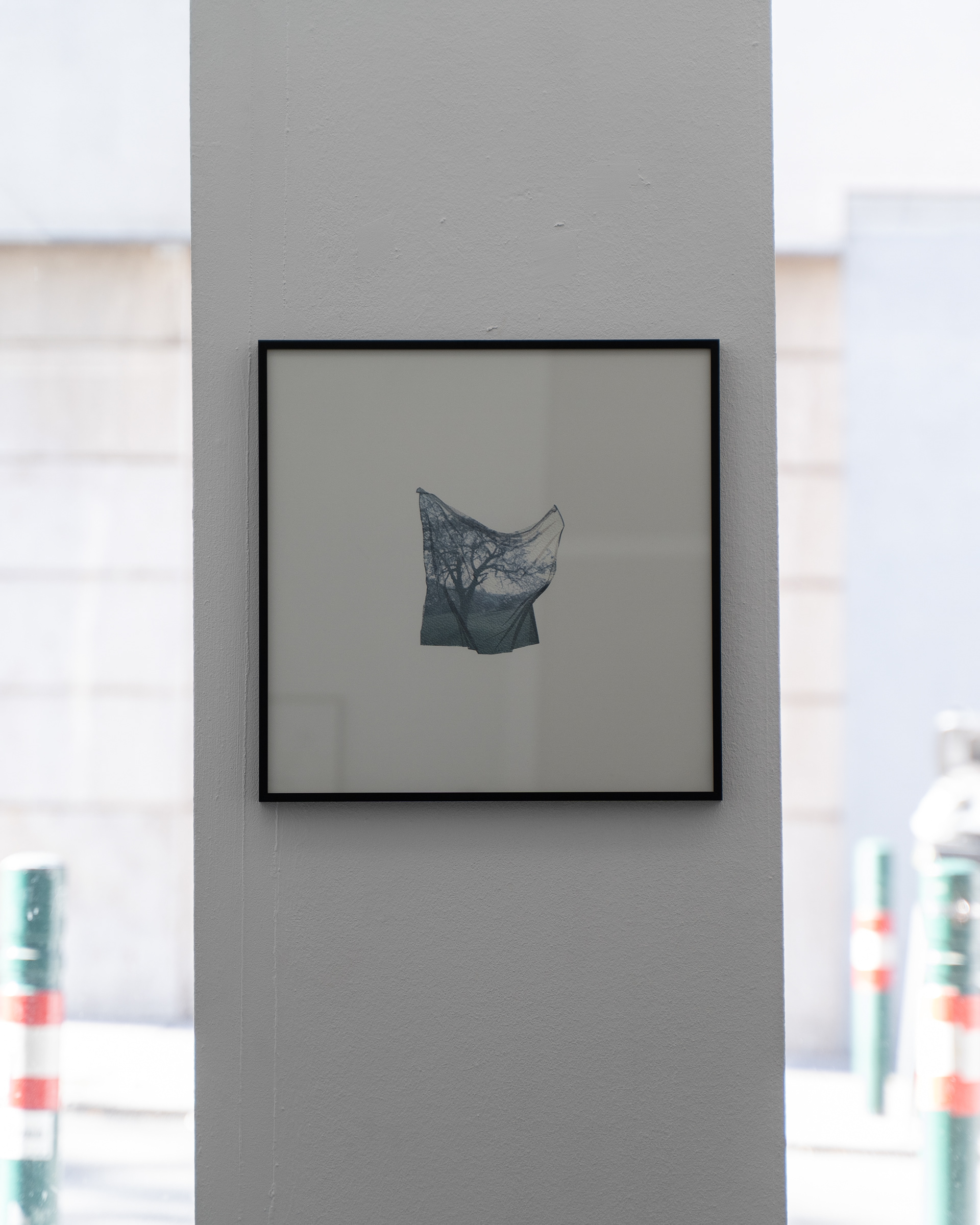 Polaroid Emulsion Lift 