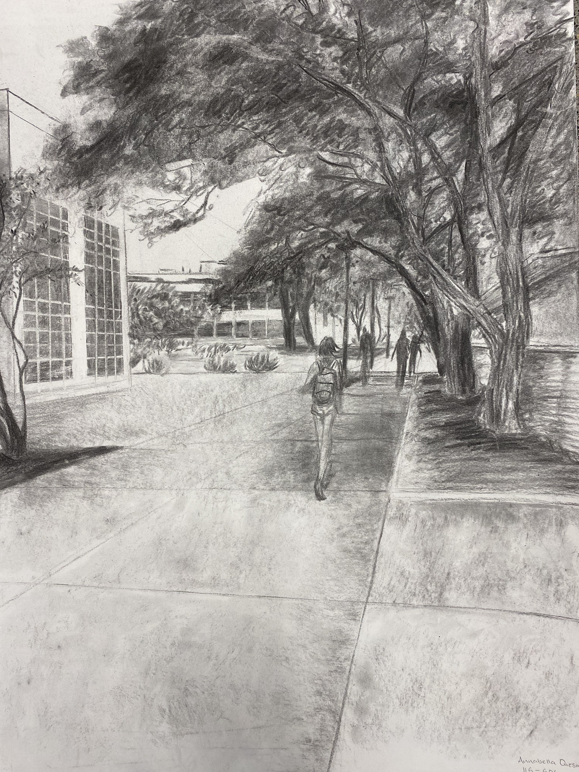 18 x 24 Charcoal on Drawing Paper