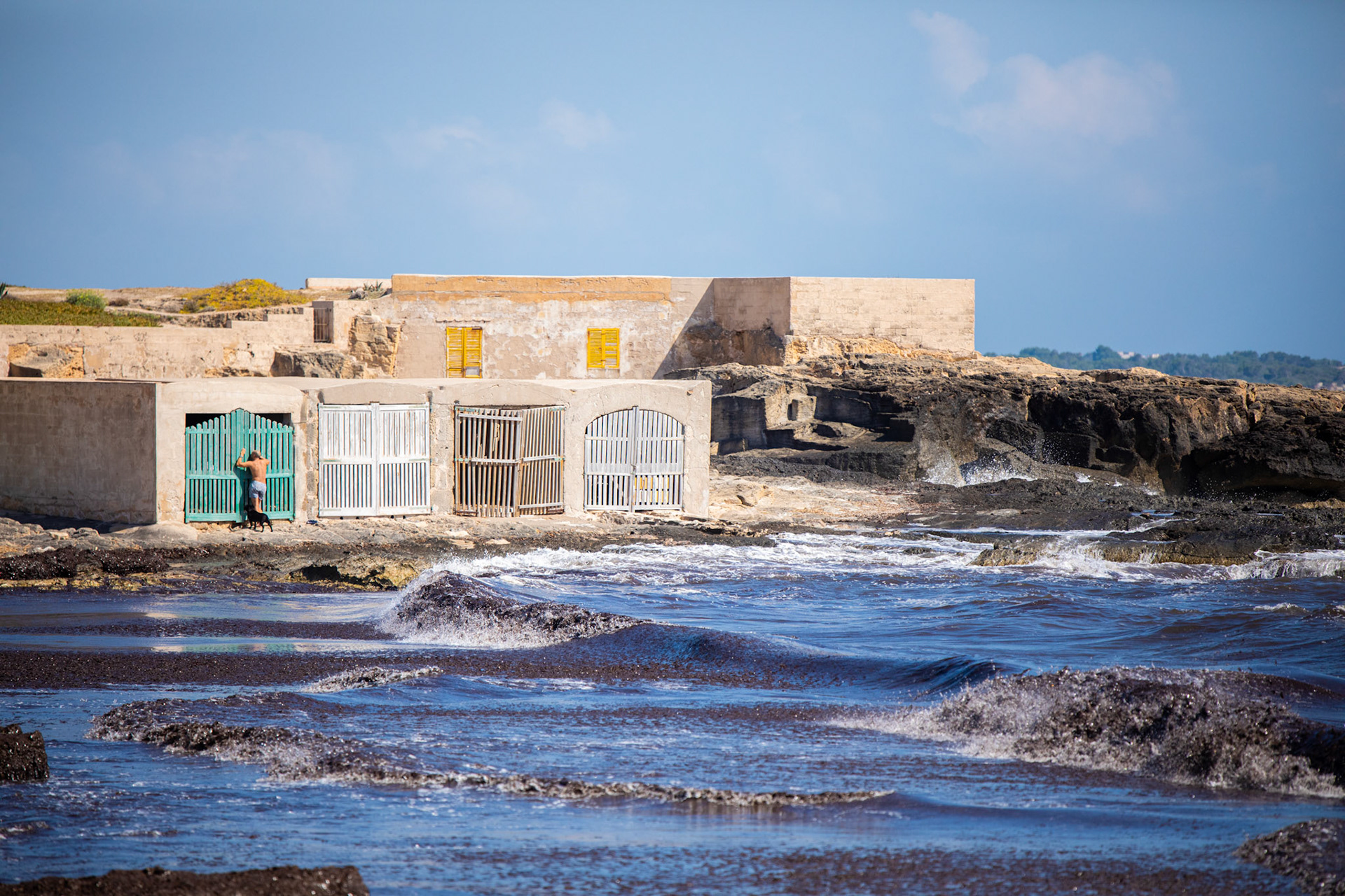 Majorque 2019 - Dépit d'un pêcheur devant la quantité désastreuse d'algues?