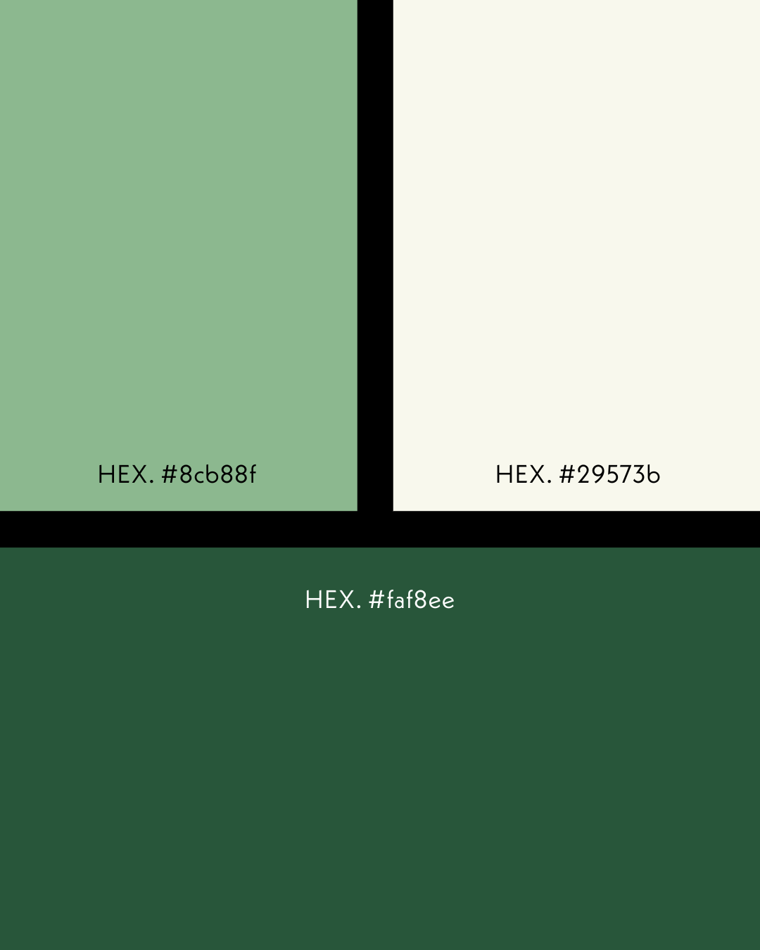 PIRCHD Farben