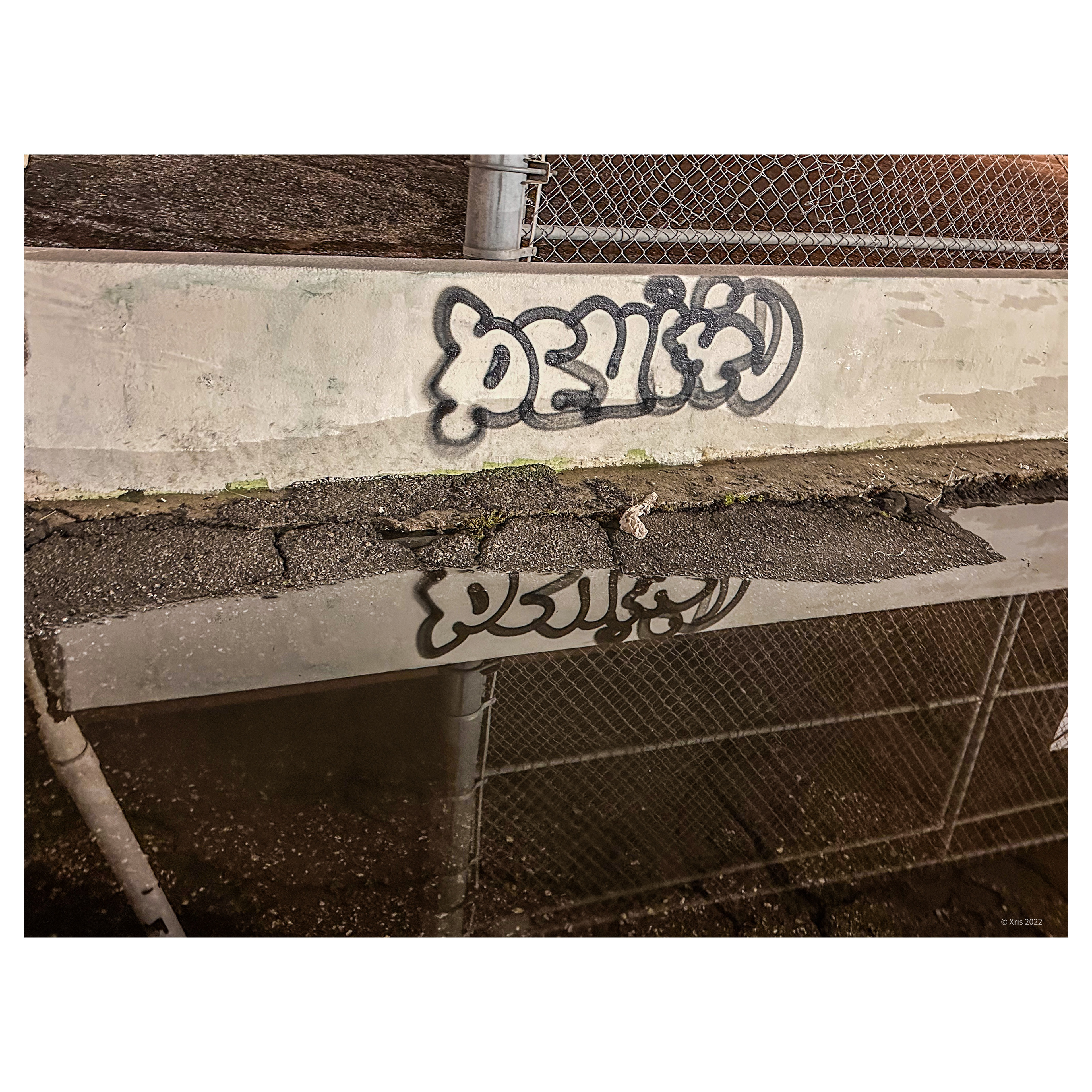 Reflecting after a rain