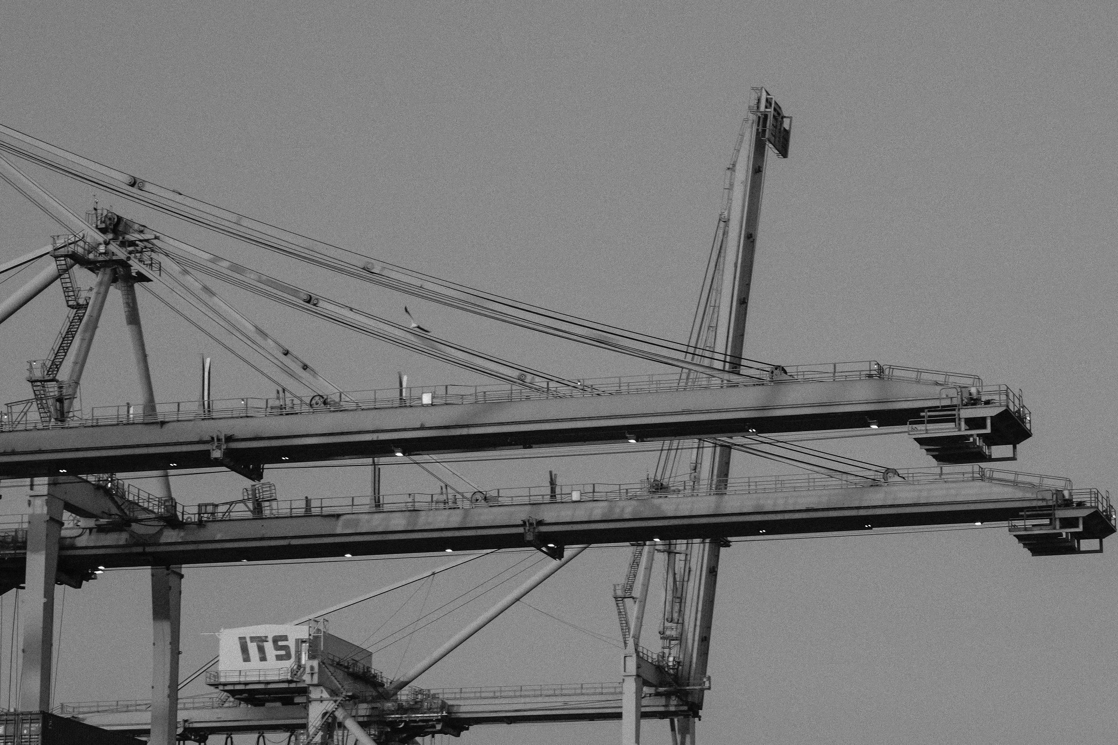 Cranes in the Sky