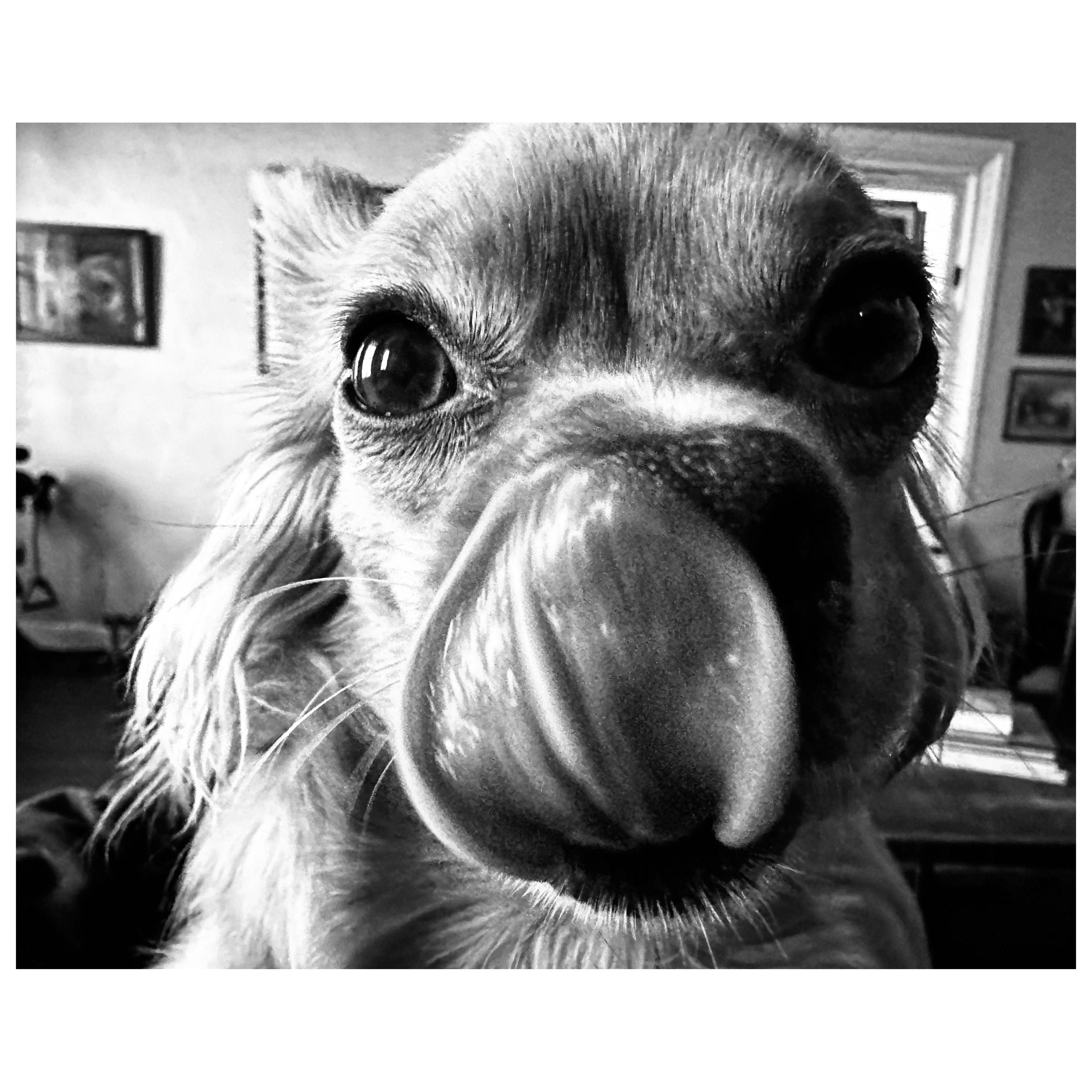 Hello