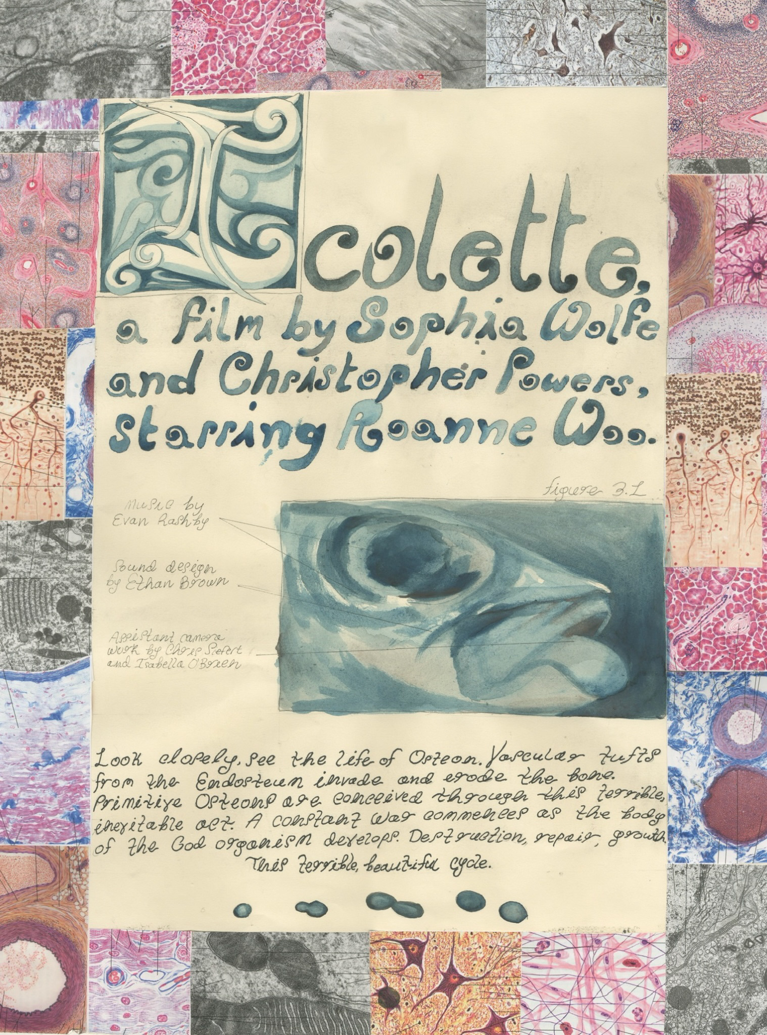 Poster for “Icolette” an experimental mixed media short film. In the style of a scientific fantasy page. Reads “Icolette: A film by Sophia Wolfe and Christopher Powers, starring Roanne Woo. Music by Evan Rashby. Sound Design by Ethan Brown. Assistant camera work by Chris Siefert and Isabella O’Brien. Look Closely, see the life of Osteon. Vascular tufts from the Endosteum invade and erode the bone. Primitive Osteons are conceived through thi terrible, inevitable act. A constant war commences as the body of the God organism develops. Destruction, repair, growth. This terrible, beautiful cycle.”