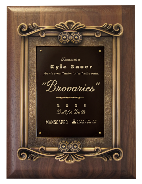 Plaque presented to re-brand winner