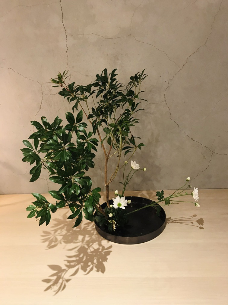 生花
