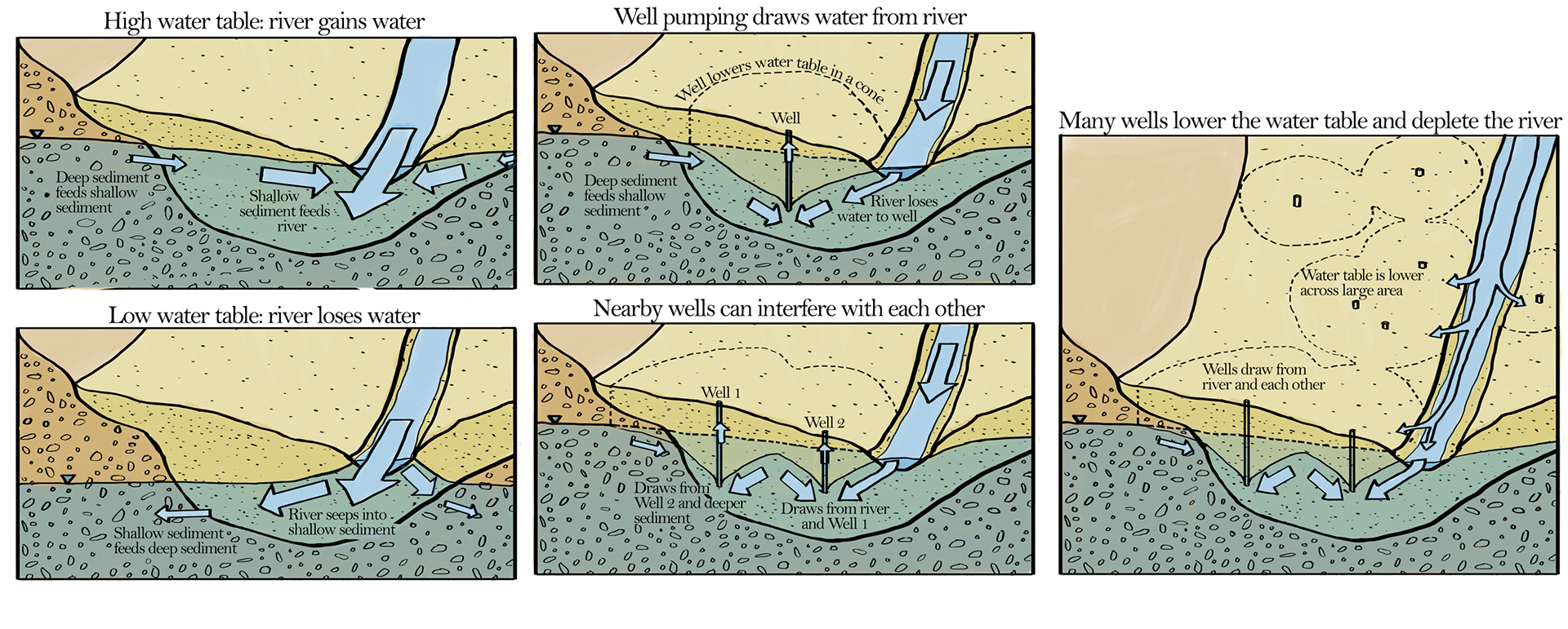 The shallow groundwater along the river is connected to the deeper regional groundwater system, and both are heavily impacted by groundwater pumping from wells.