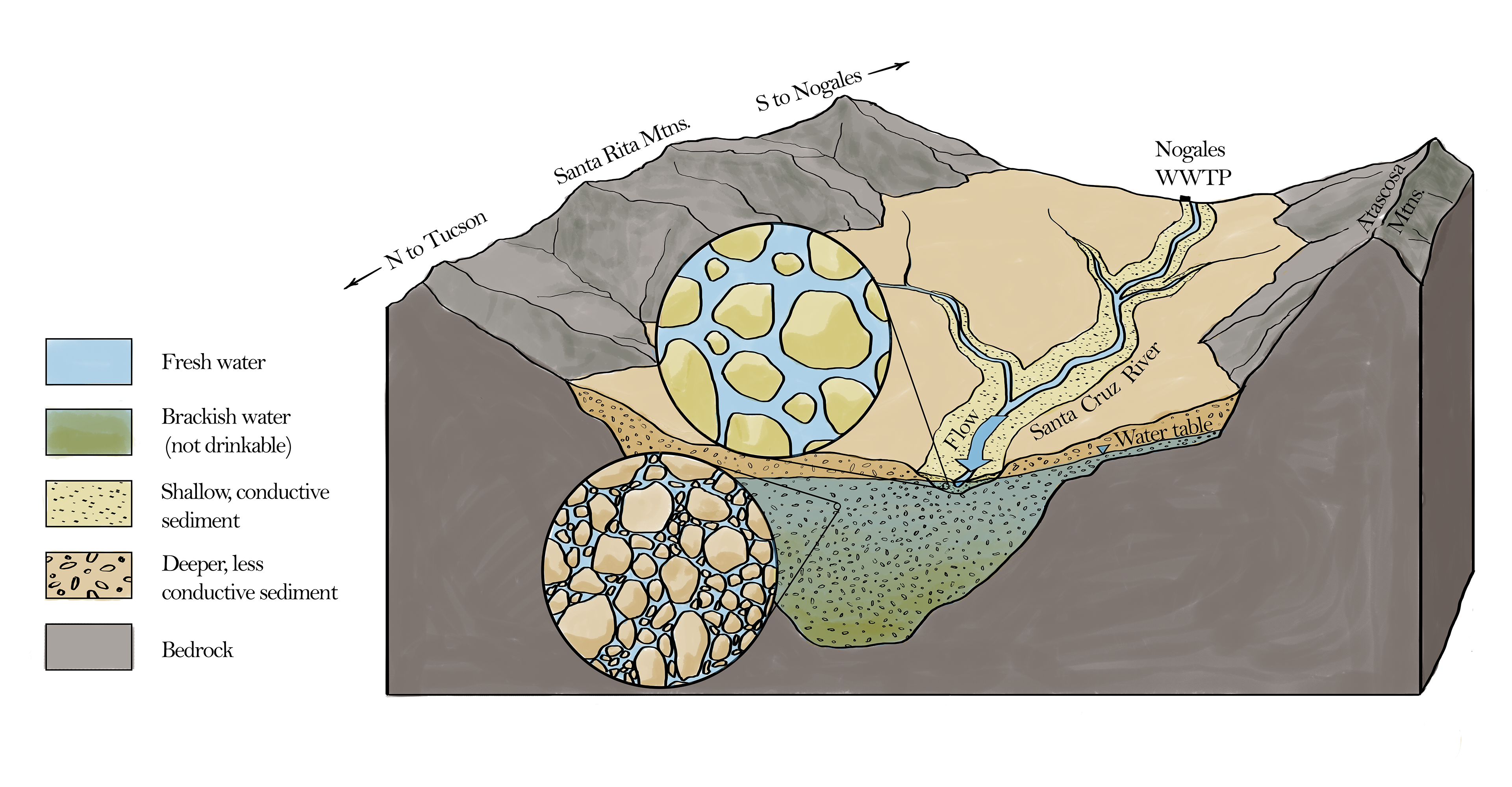 Surface water and groundwater are intimately linked through a highly permeable layer of alluvial sediment along the riverbed.