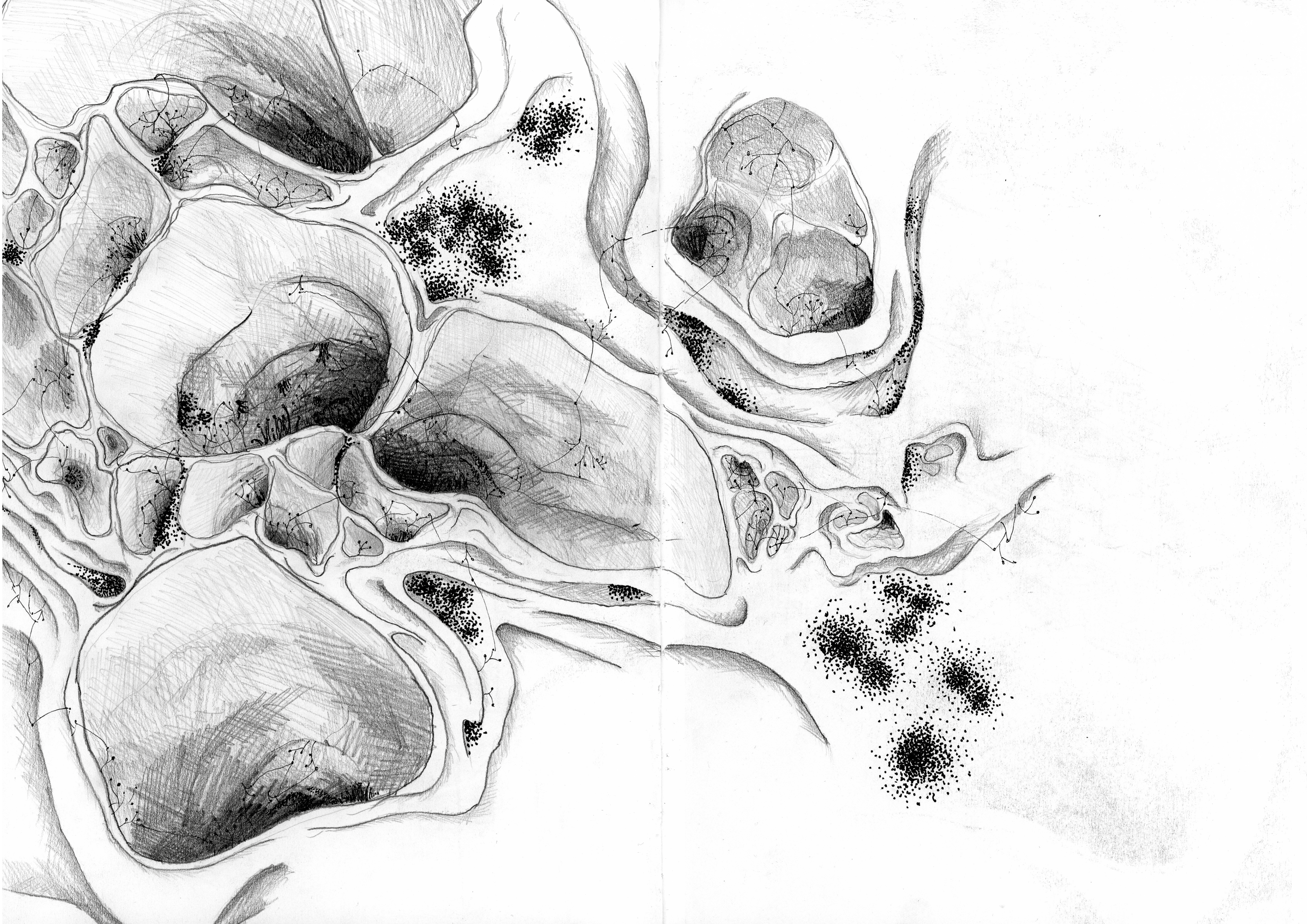 Cave inspired by zygomycota #2
