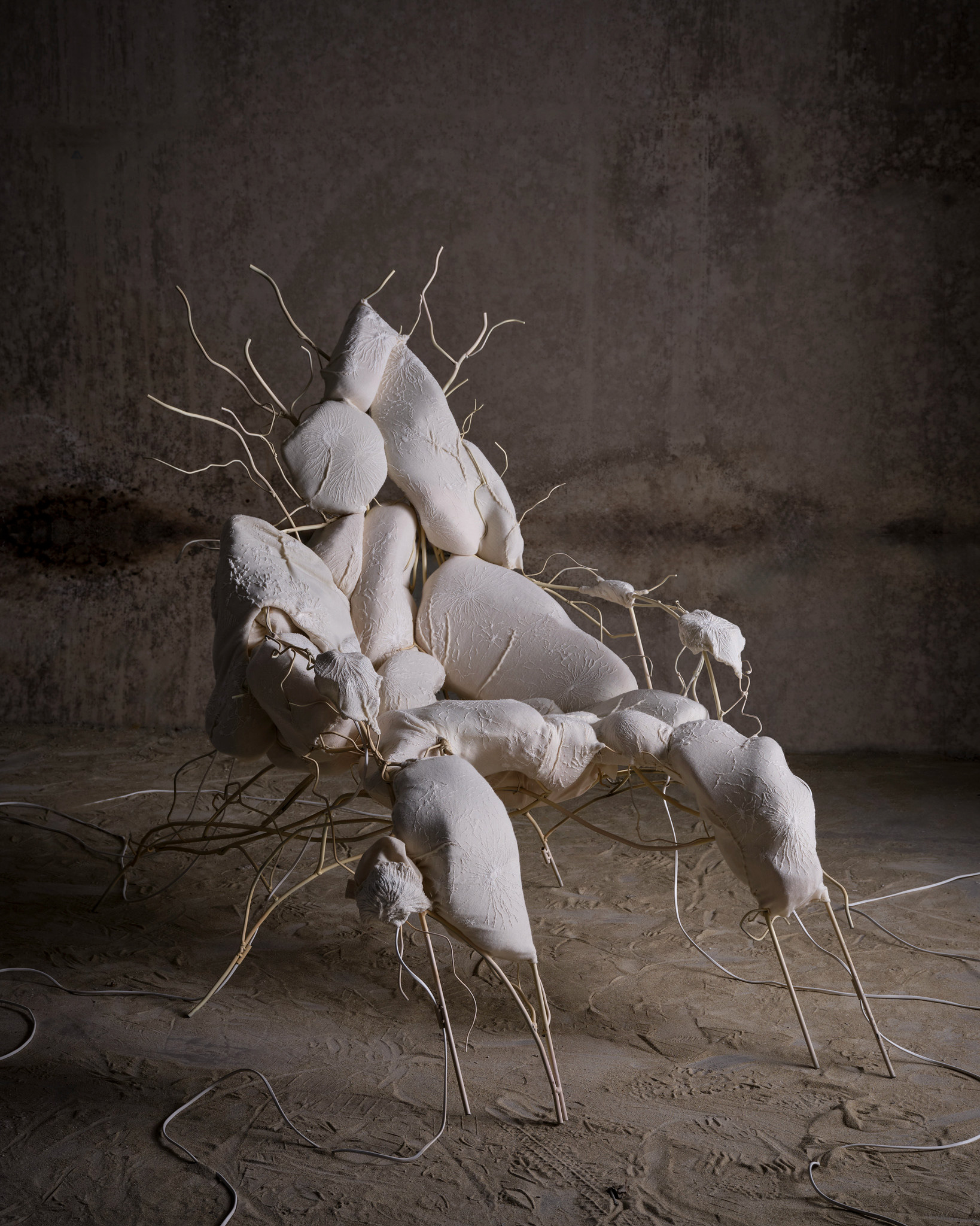 ©Carlfried Verwaayen