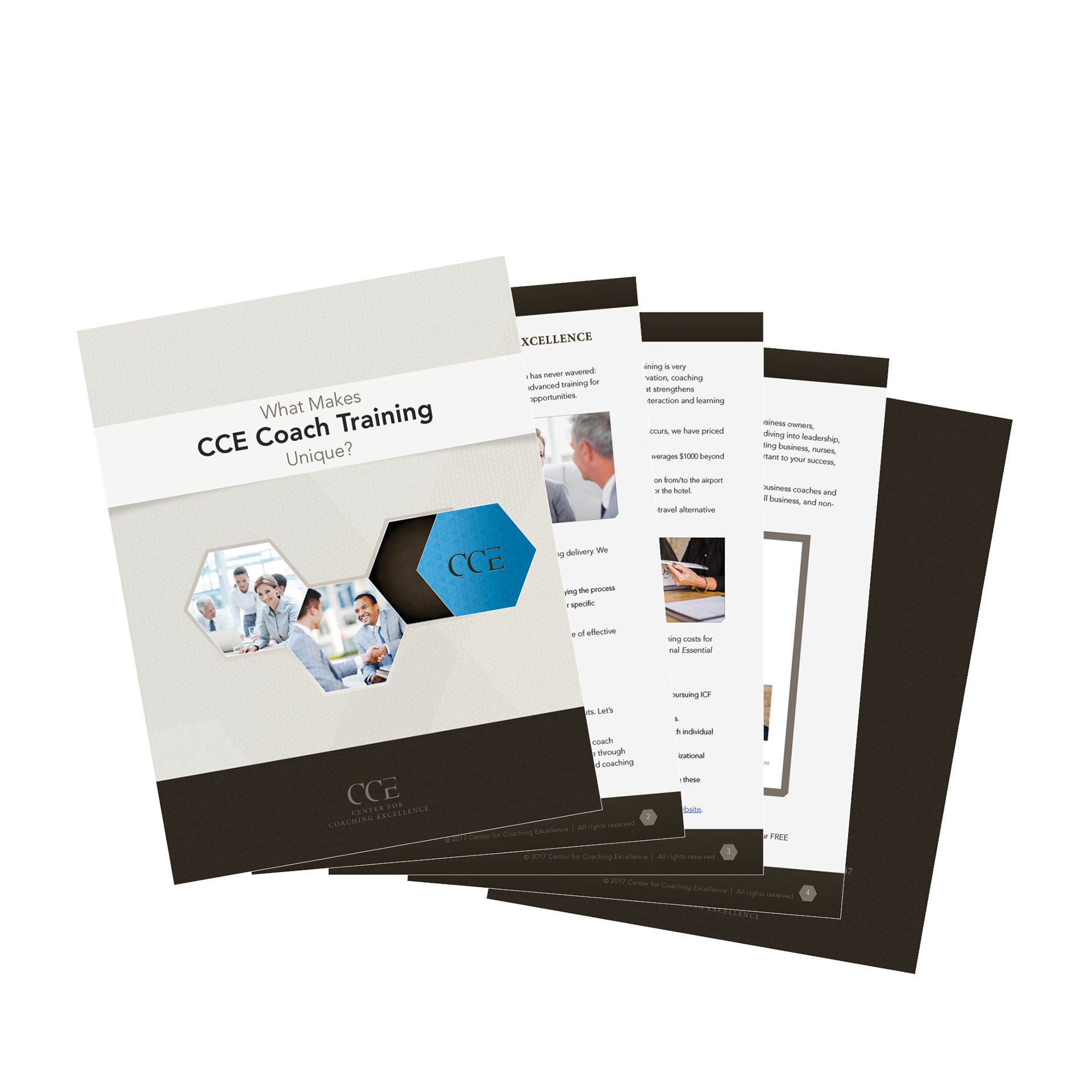 Marketing brochure