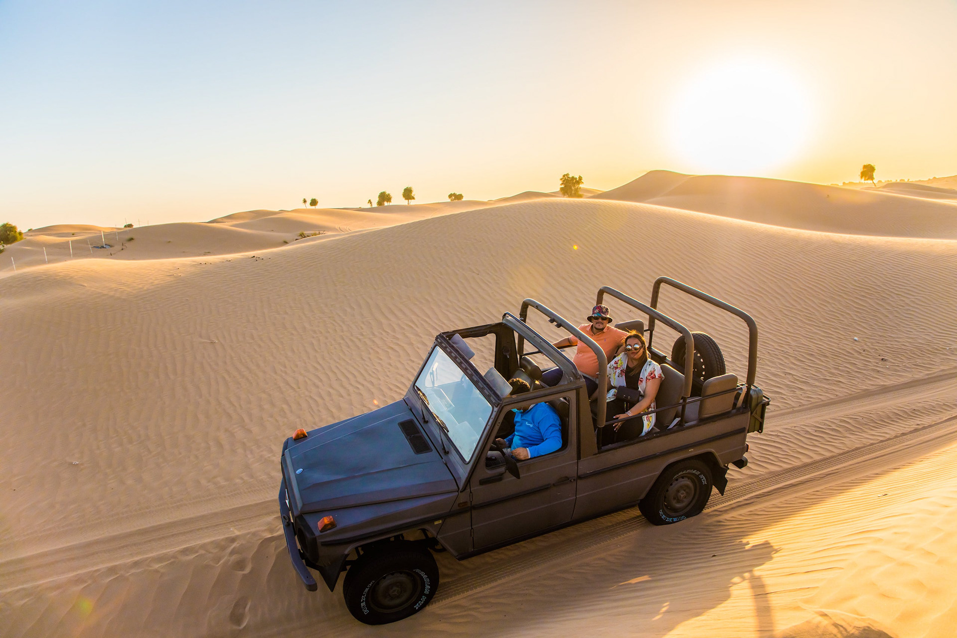 Heritage Safari through the Al Marmoom Conservation Reserve