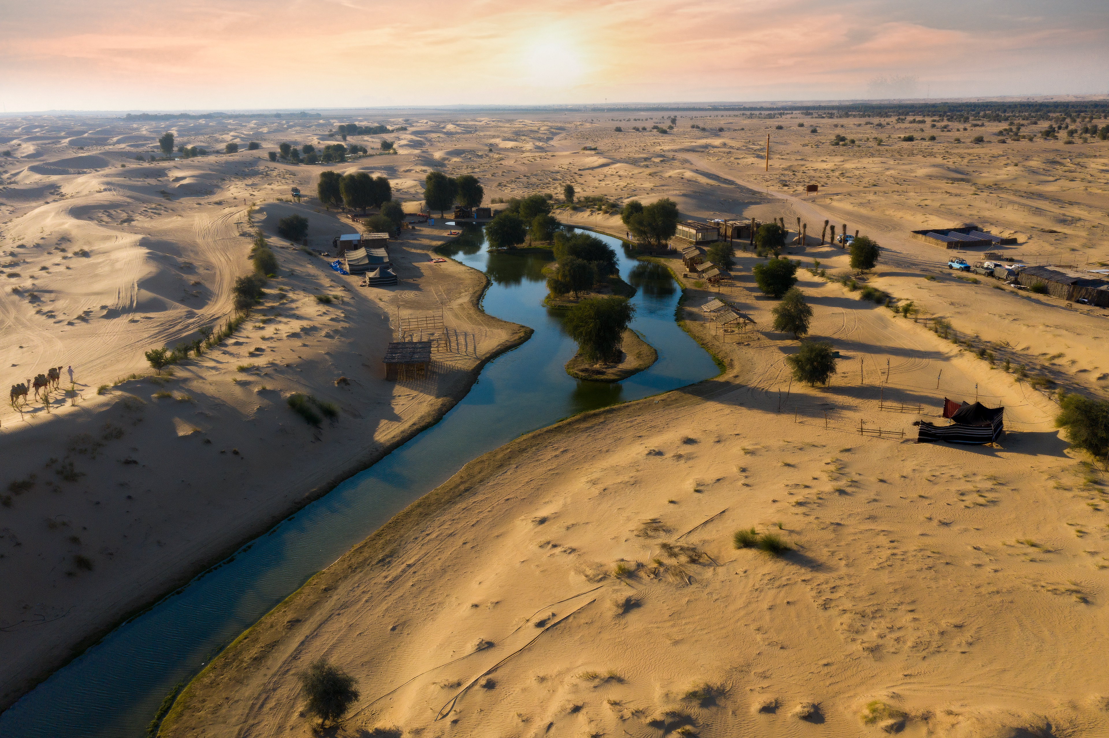 Al Marmoom Oasis View 2022