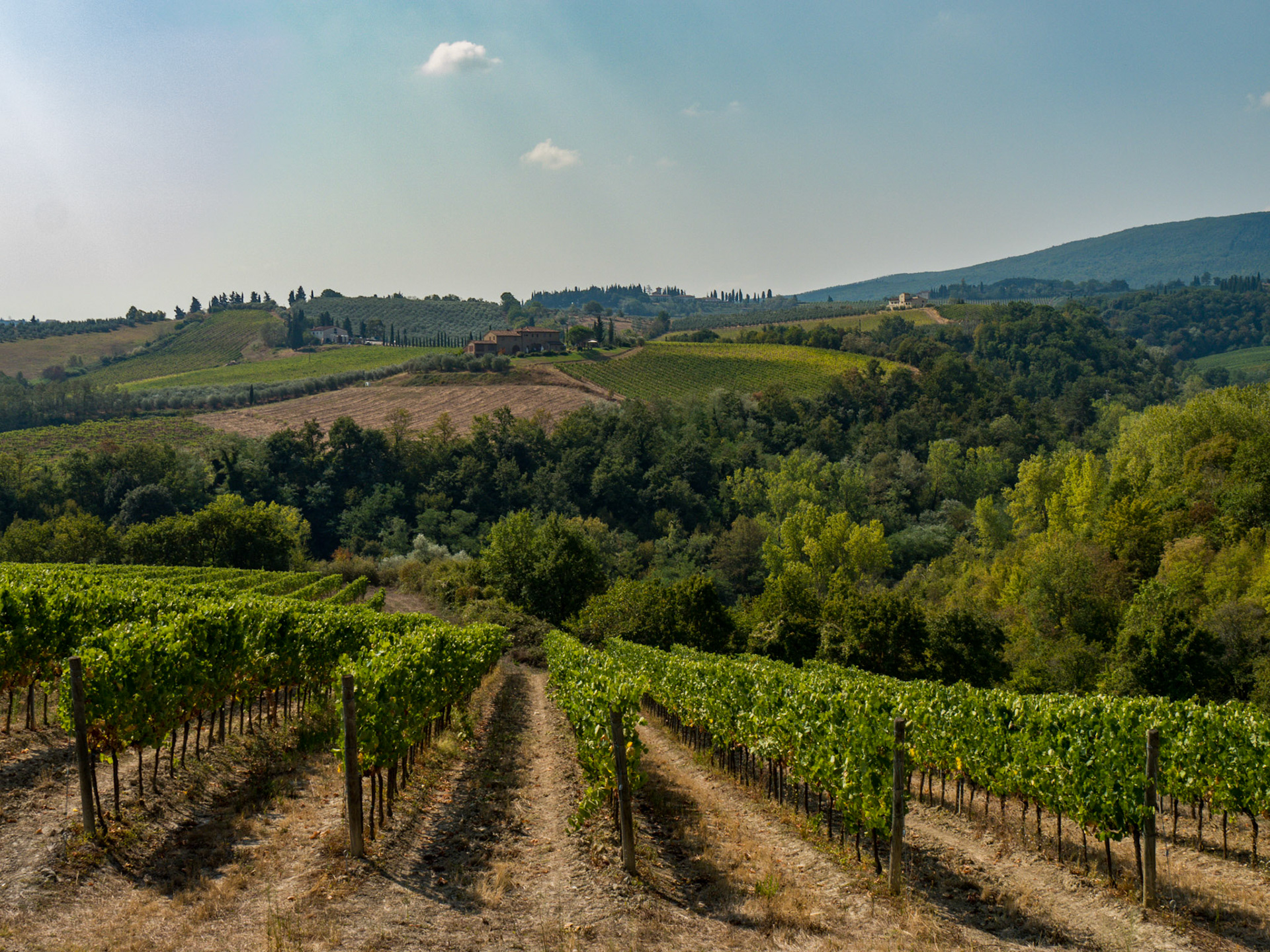 San Gimignano Countryside