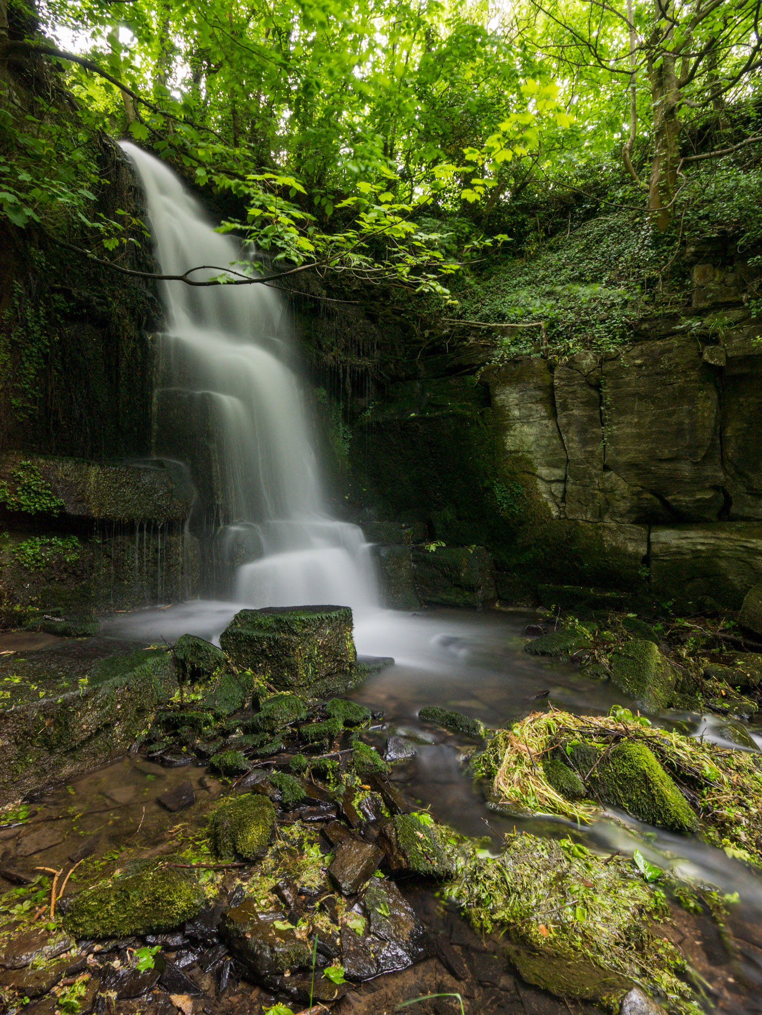 Harmby Waterfall