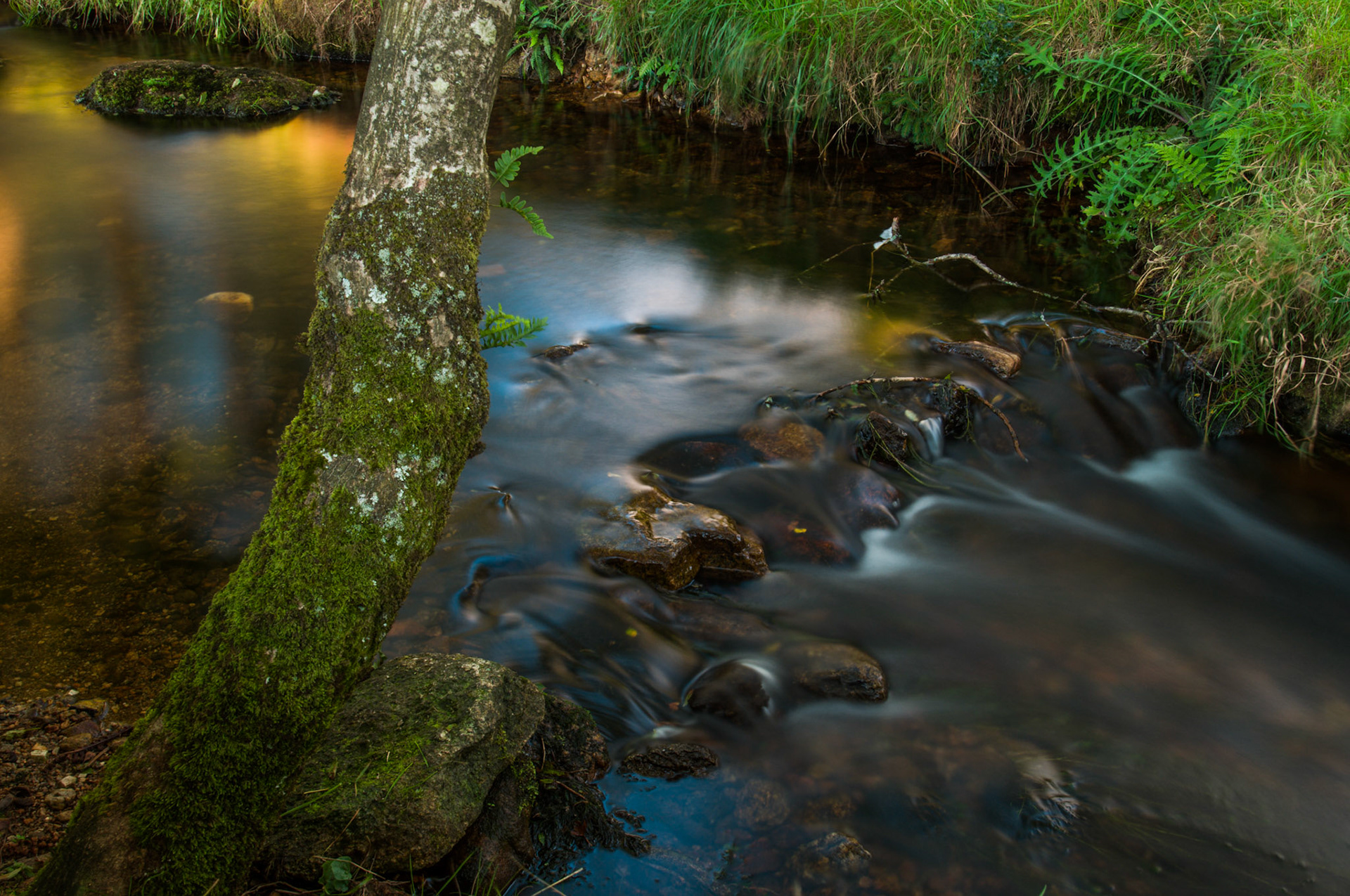 Long exposure of a brook in our campsite in Dartmoor