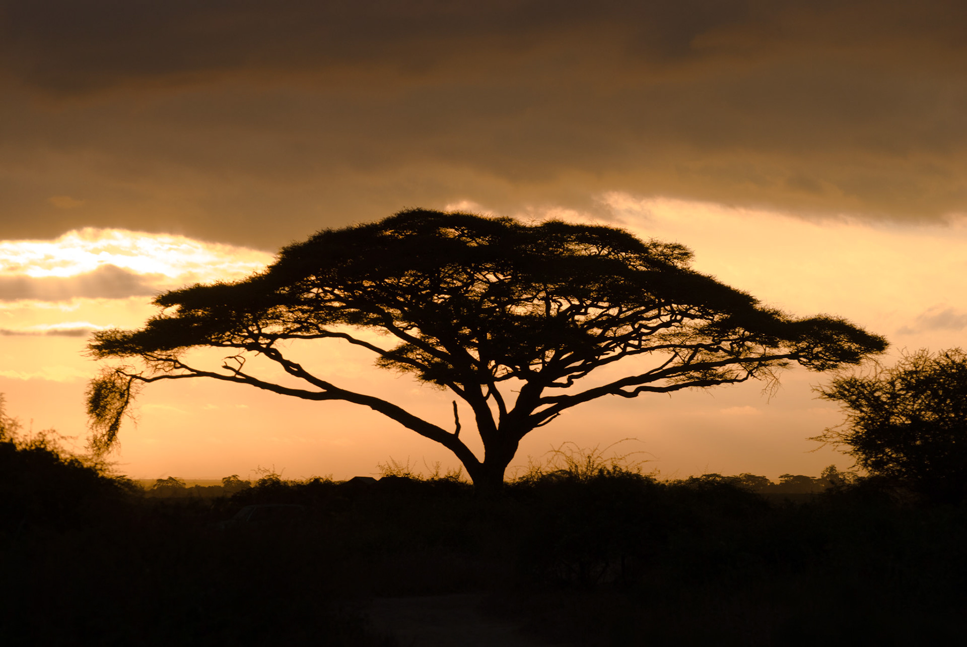 Sunrise near Aboseli national park