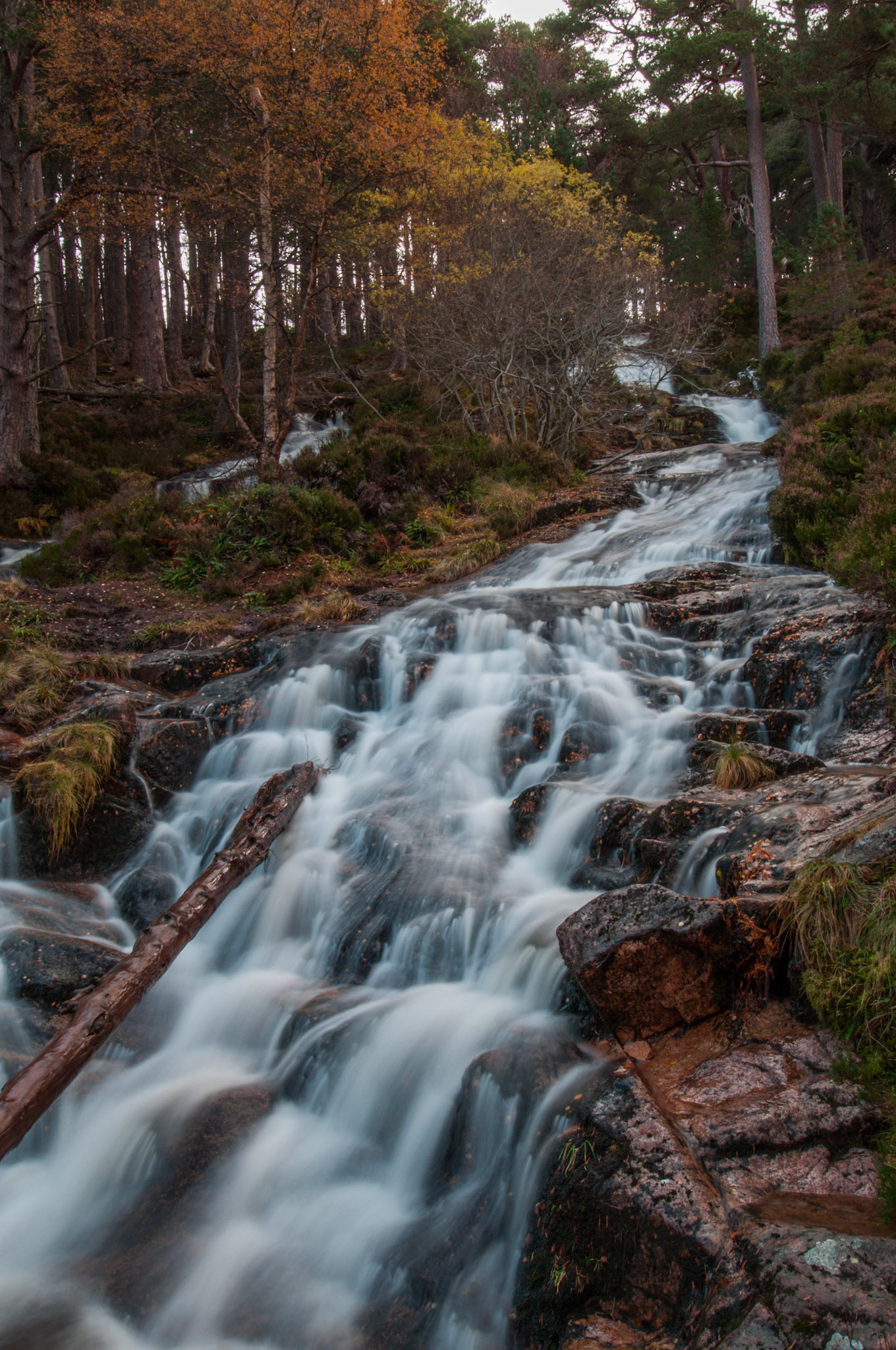 Waterfall hidden away in Glen Feshie in the Cairngorms