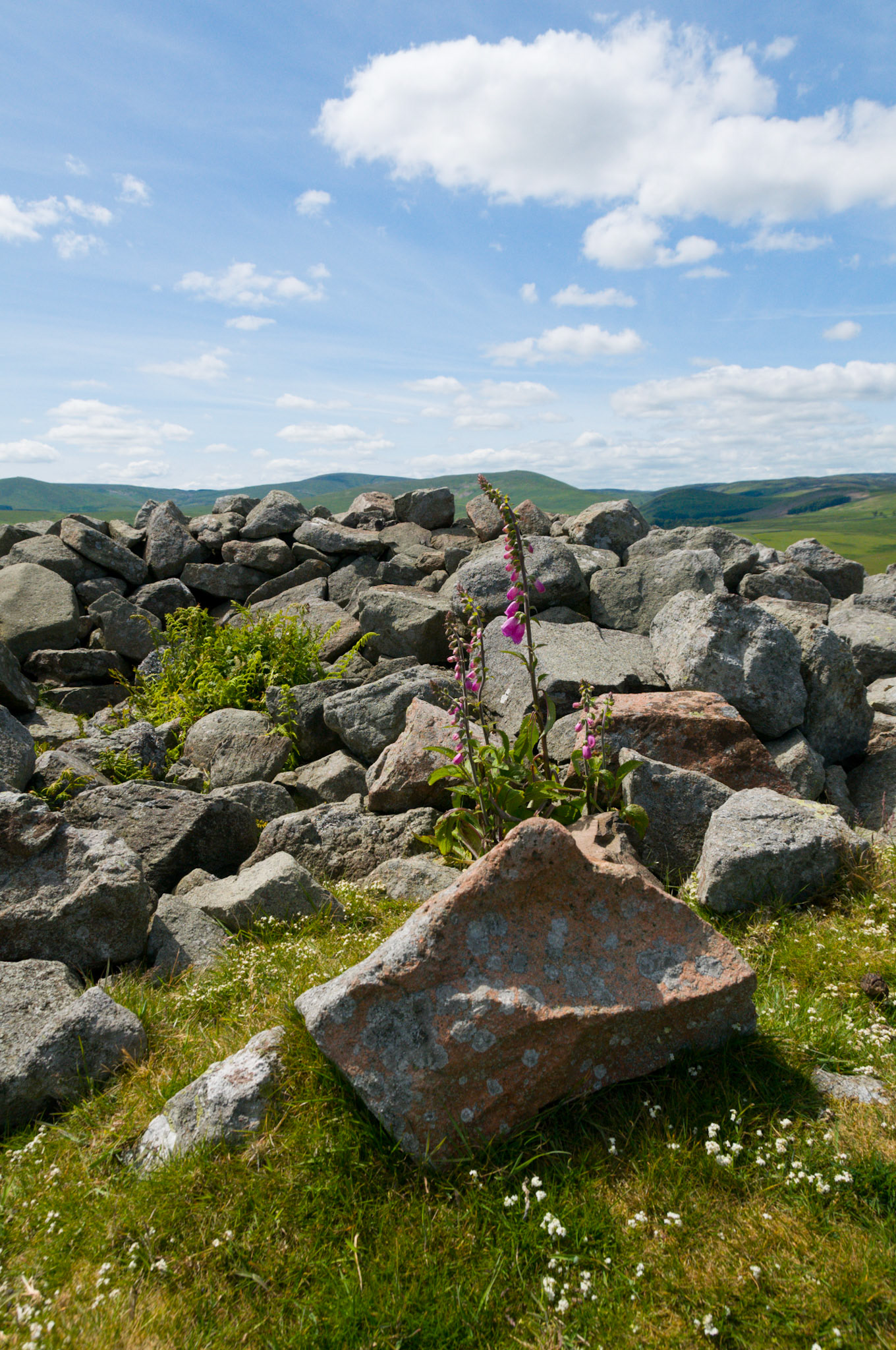 A view at Northumberland National Park