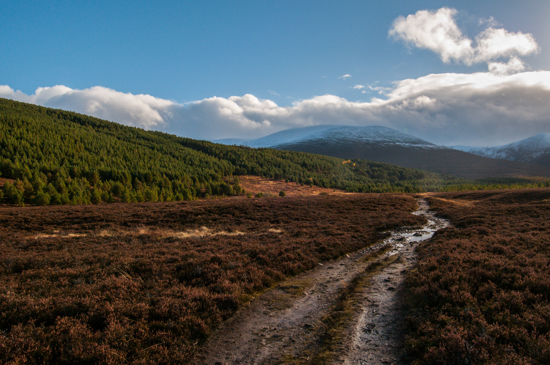 Glen Feshie in the Cairngorms