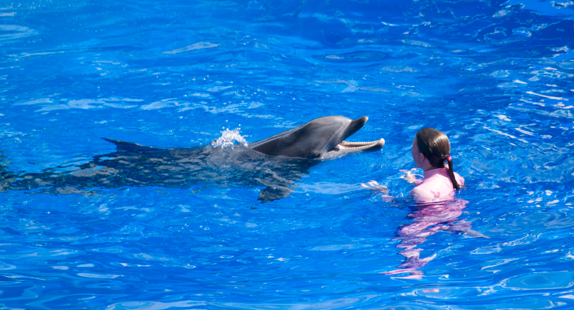 The Blue Horizons show at Seaworld Orlando
