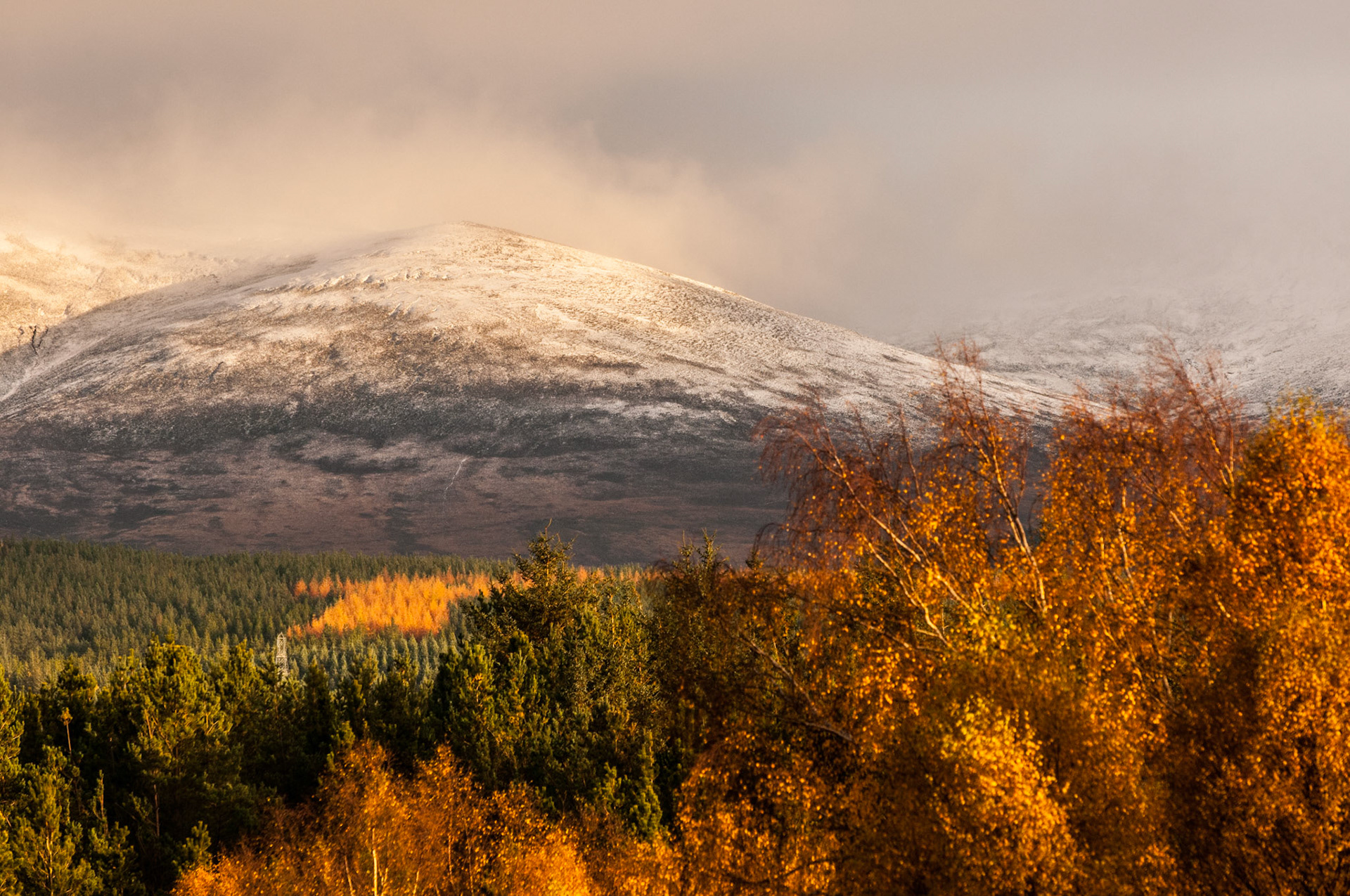 A view across the Cairngorms from Highland Wildlife Park