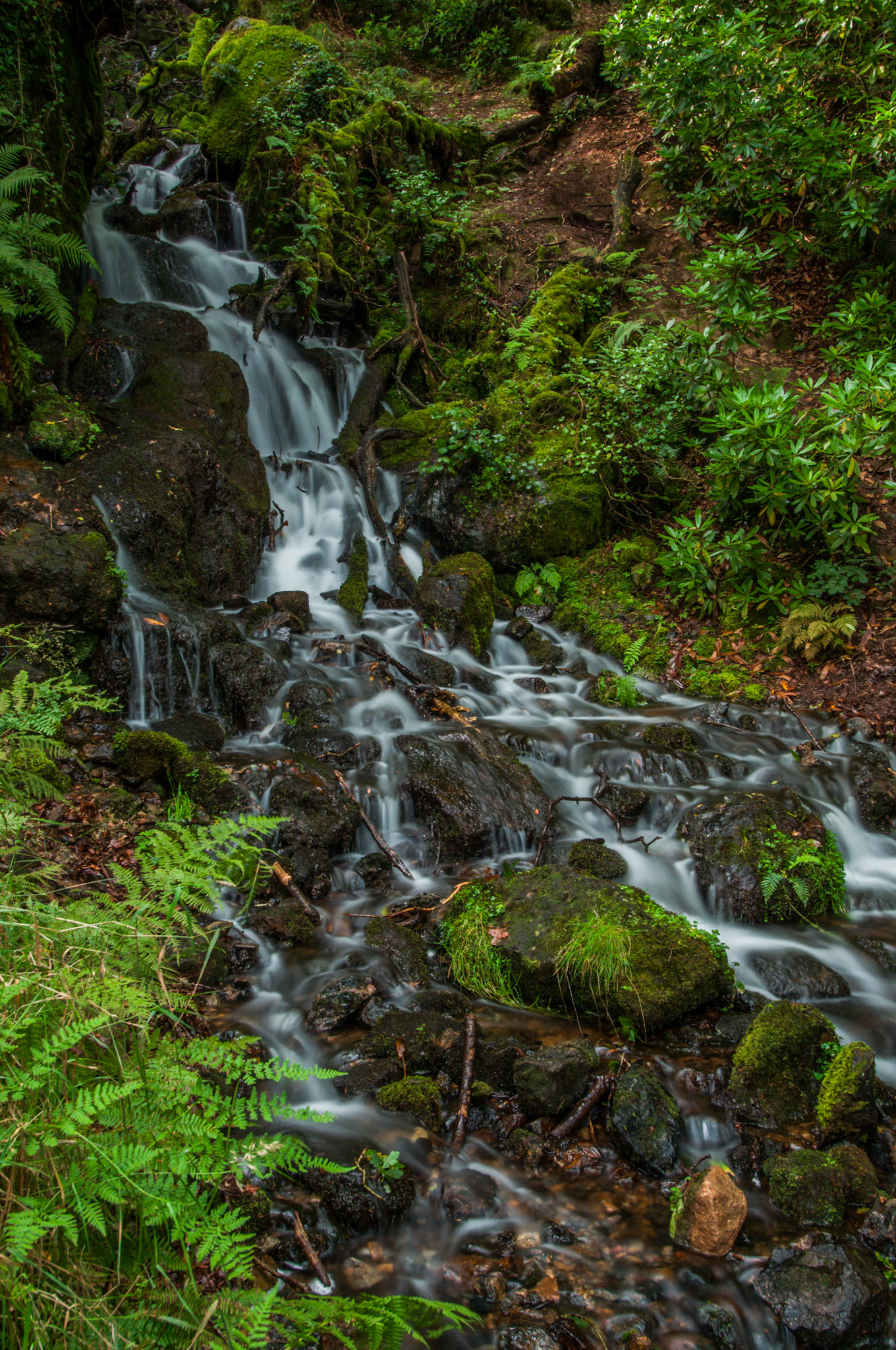 Long exposure of a waterfall in Dartmoor