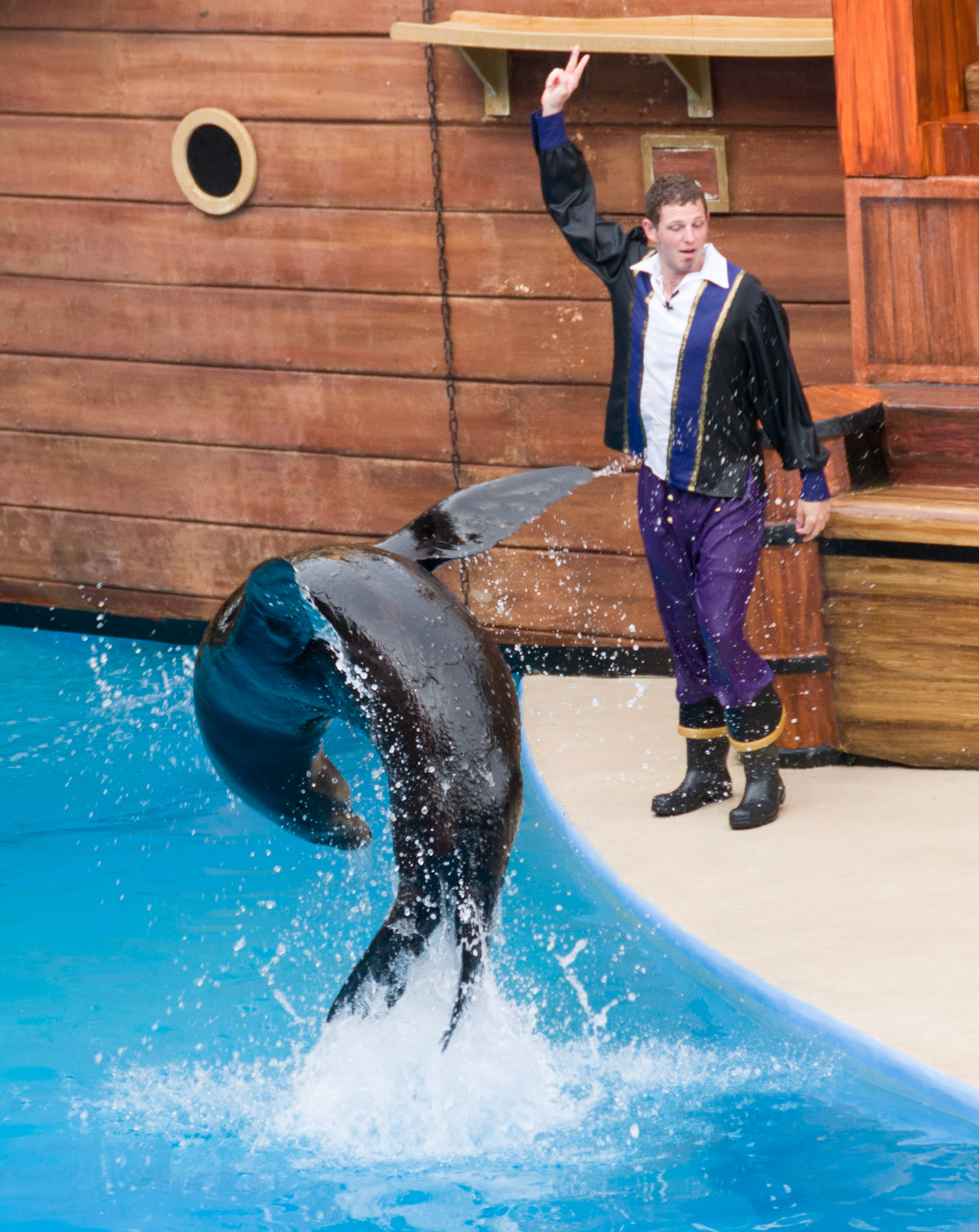 The Clyde and Seamore Show at Seaworld Orlando