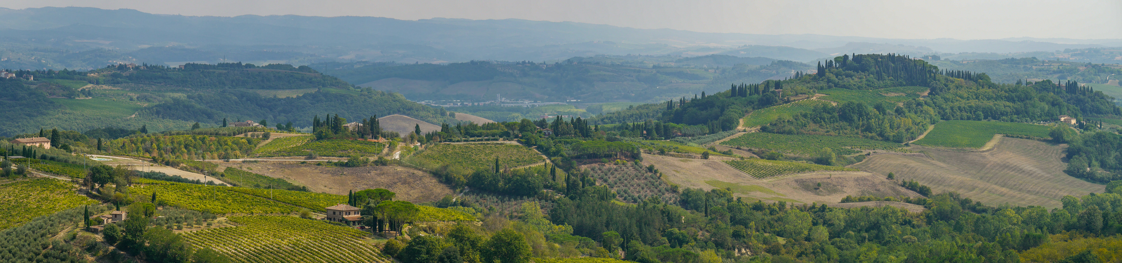 San Gimignano Countryside