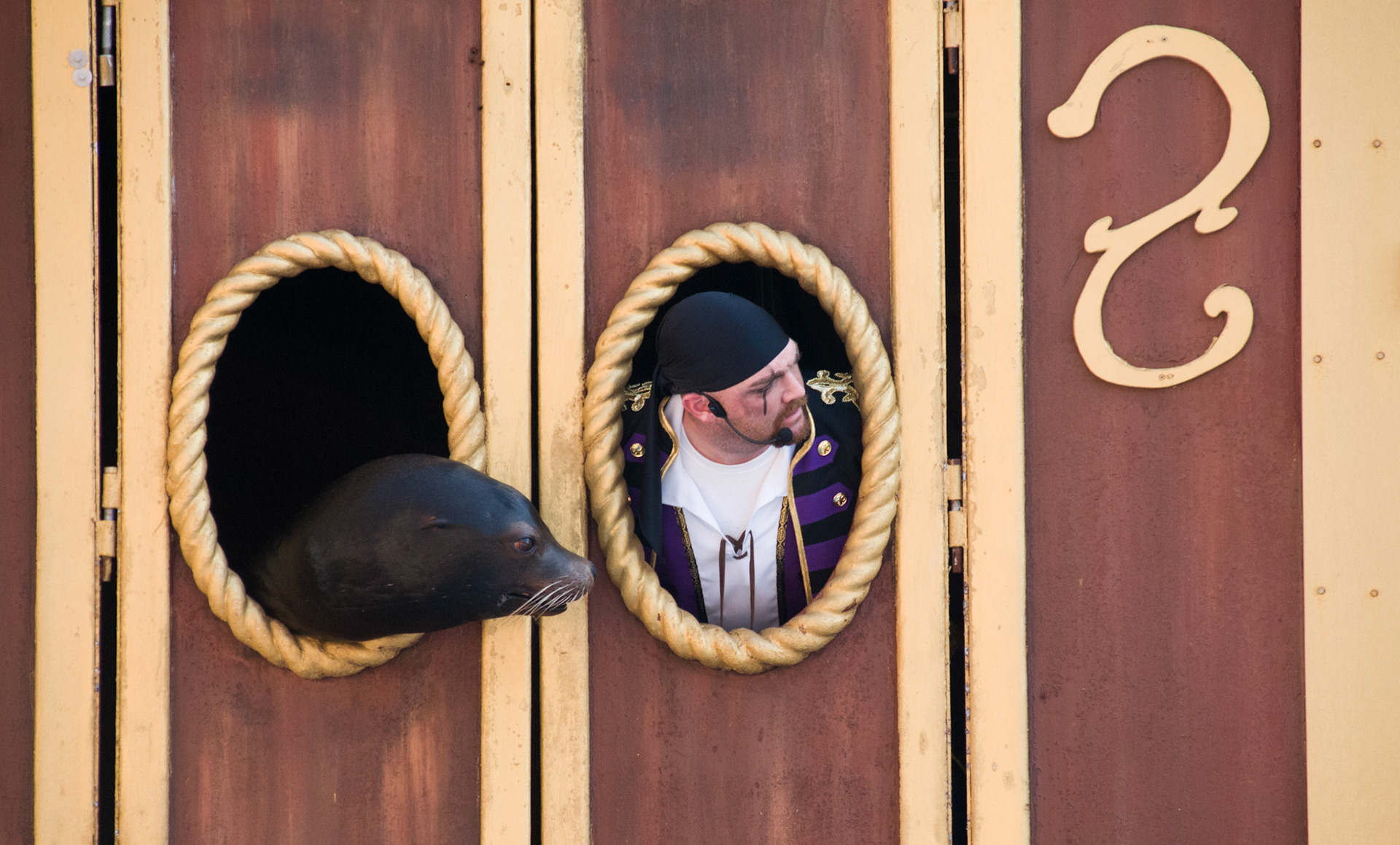 The Clyde and Seamore Show at Seaworld Orlando