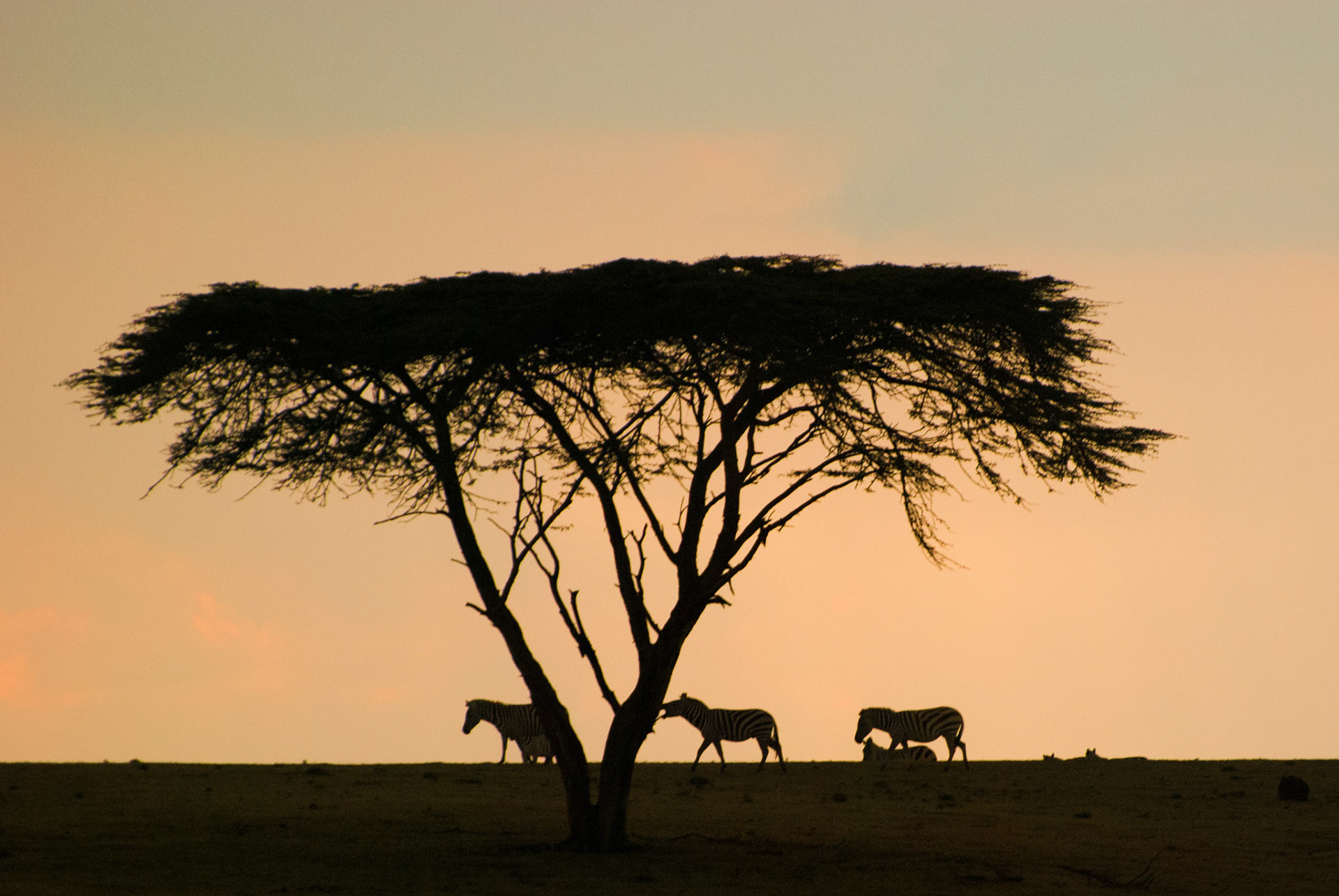 Sun setting at a small game reserve we walked round, the name of which I can't recall