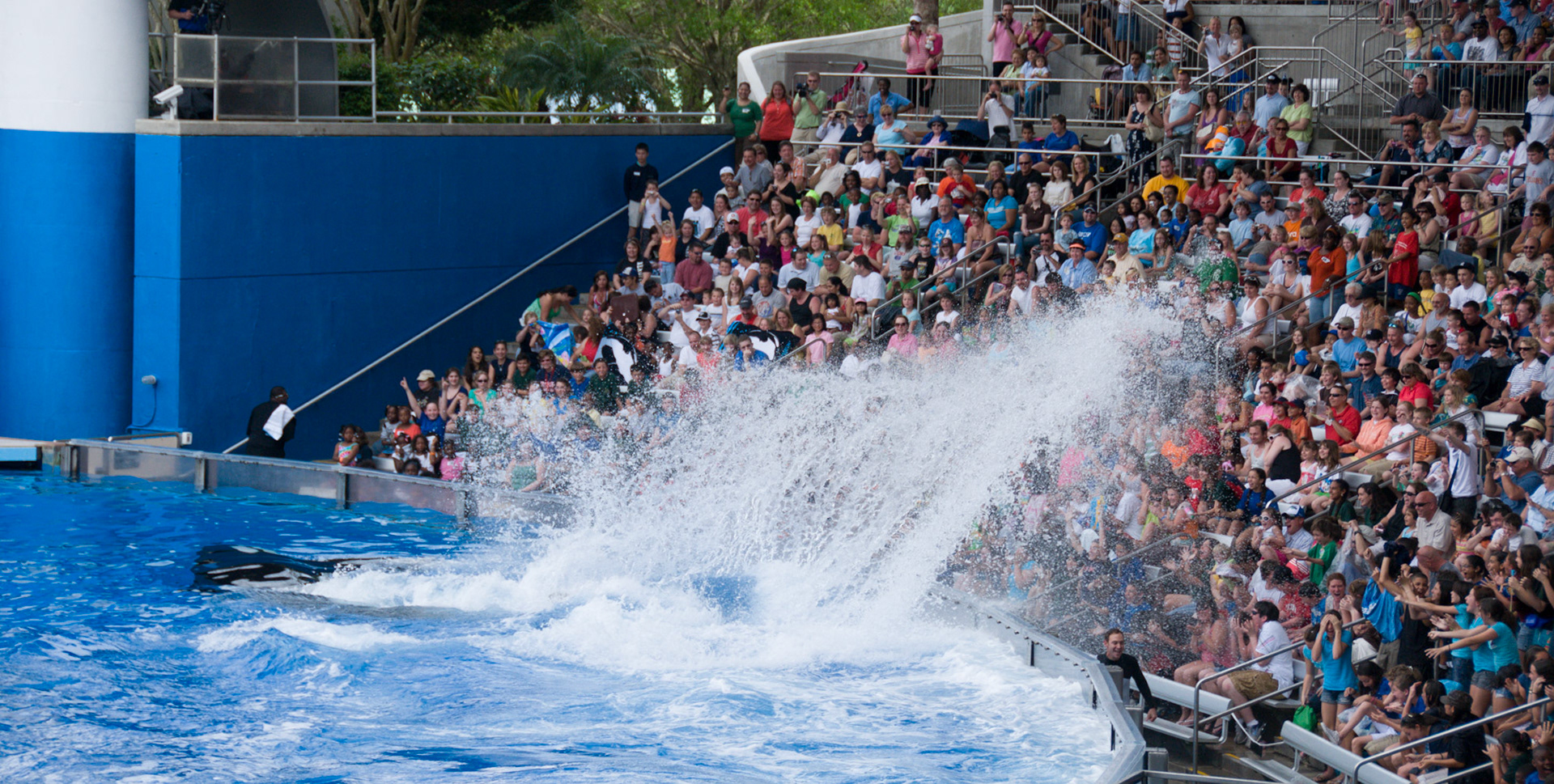 The Shamu Show at Seaworld Orlando